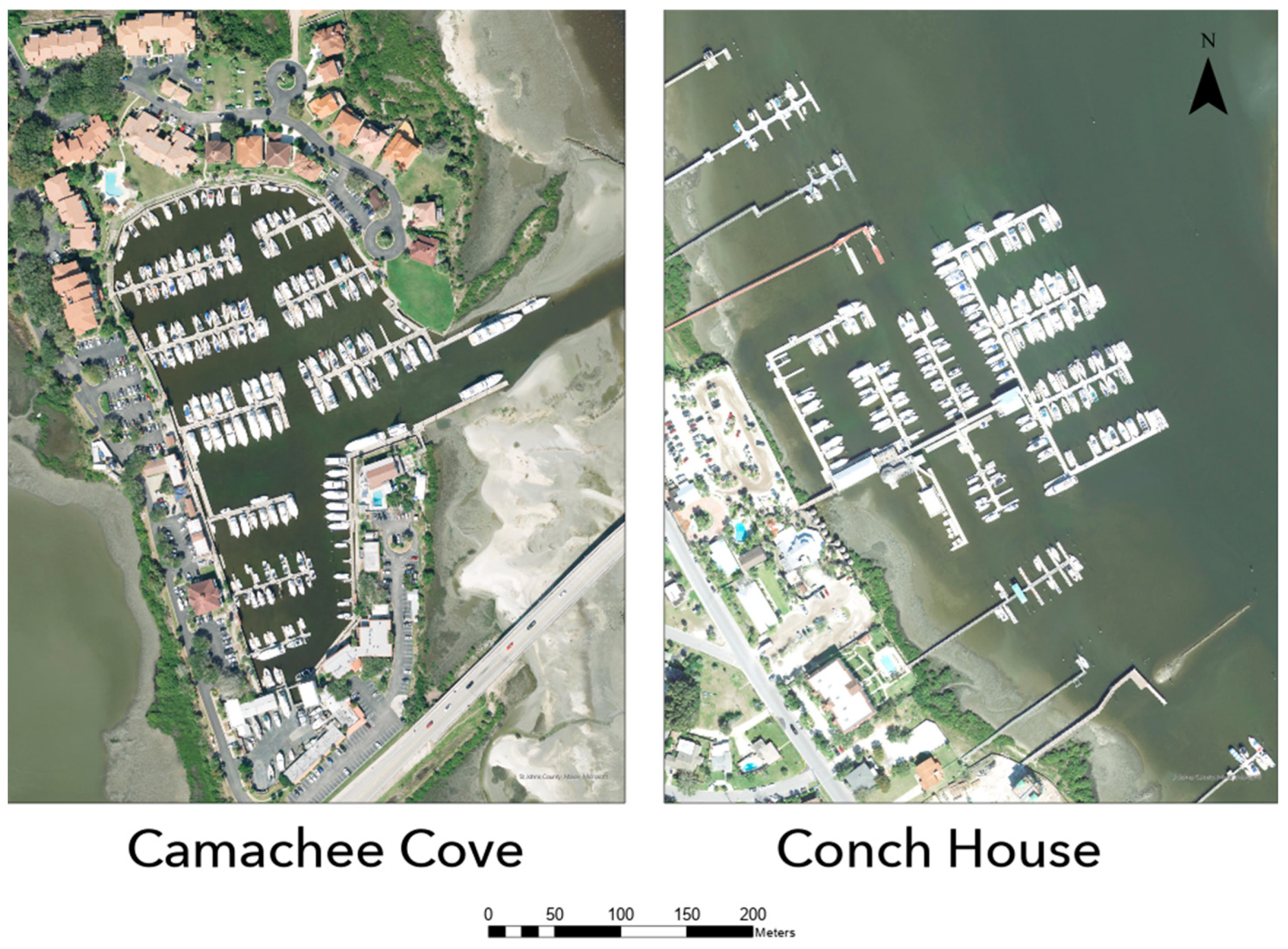 Animals 13 00279 g002