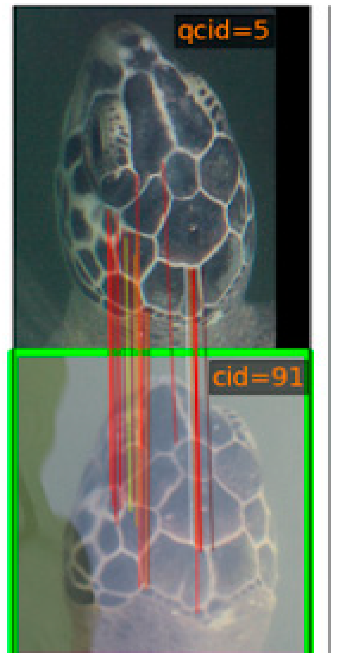 Animals 13 00279 g003