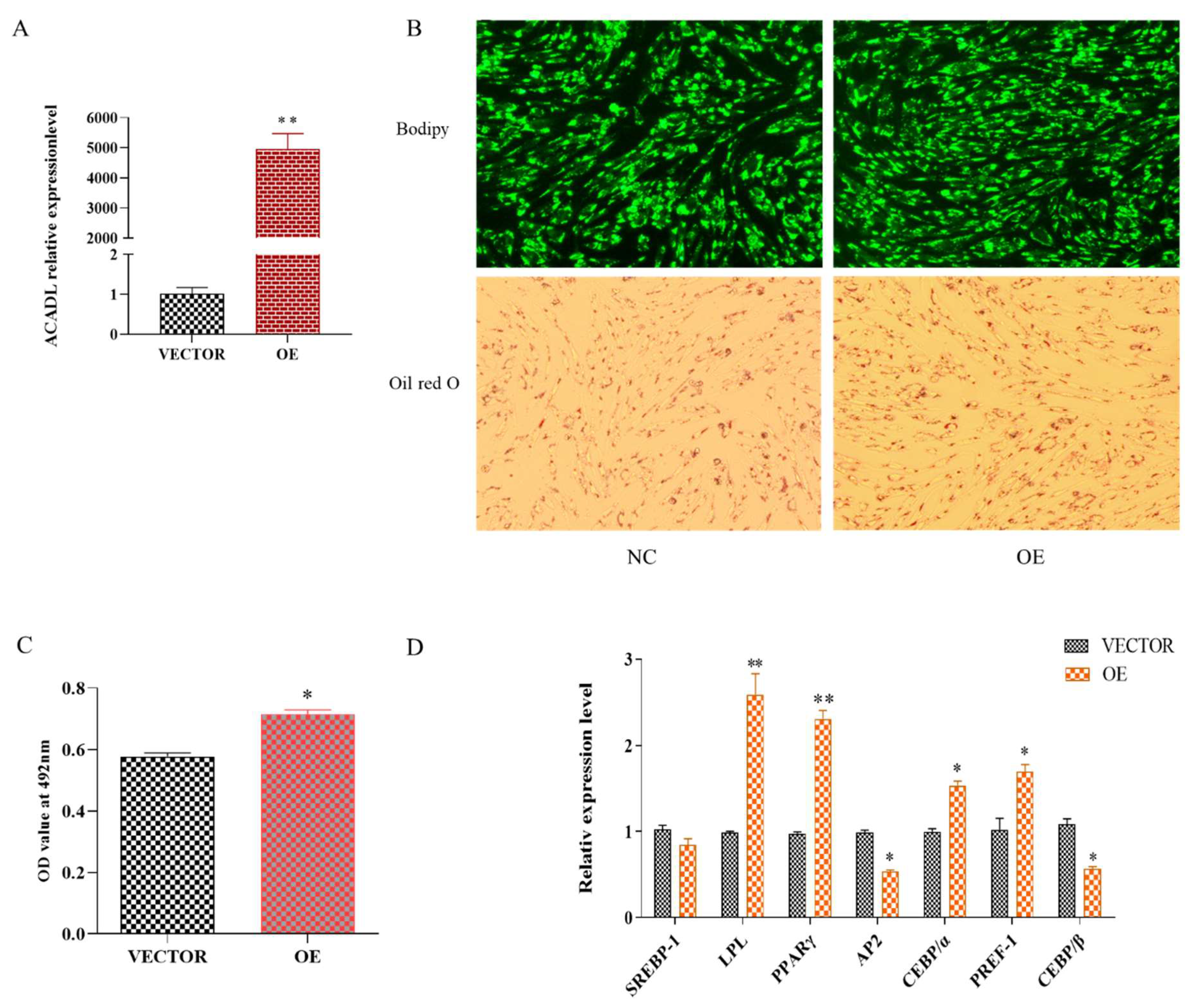 Animals 13 00281 g001