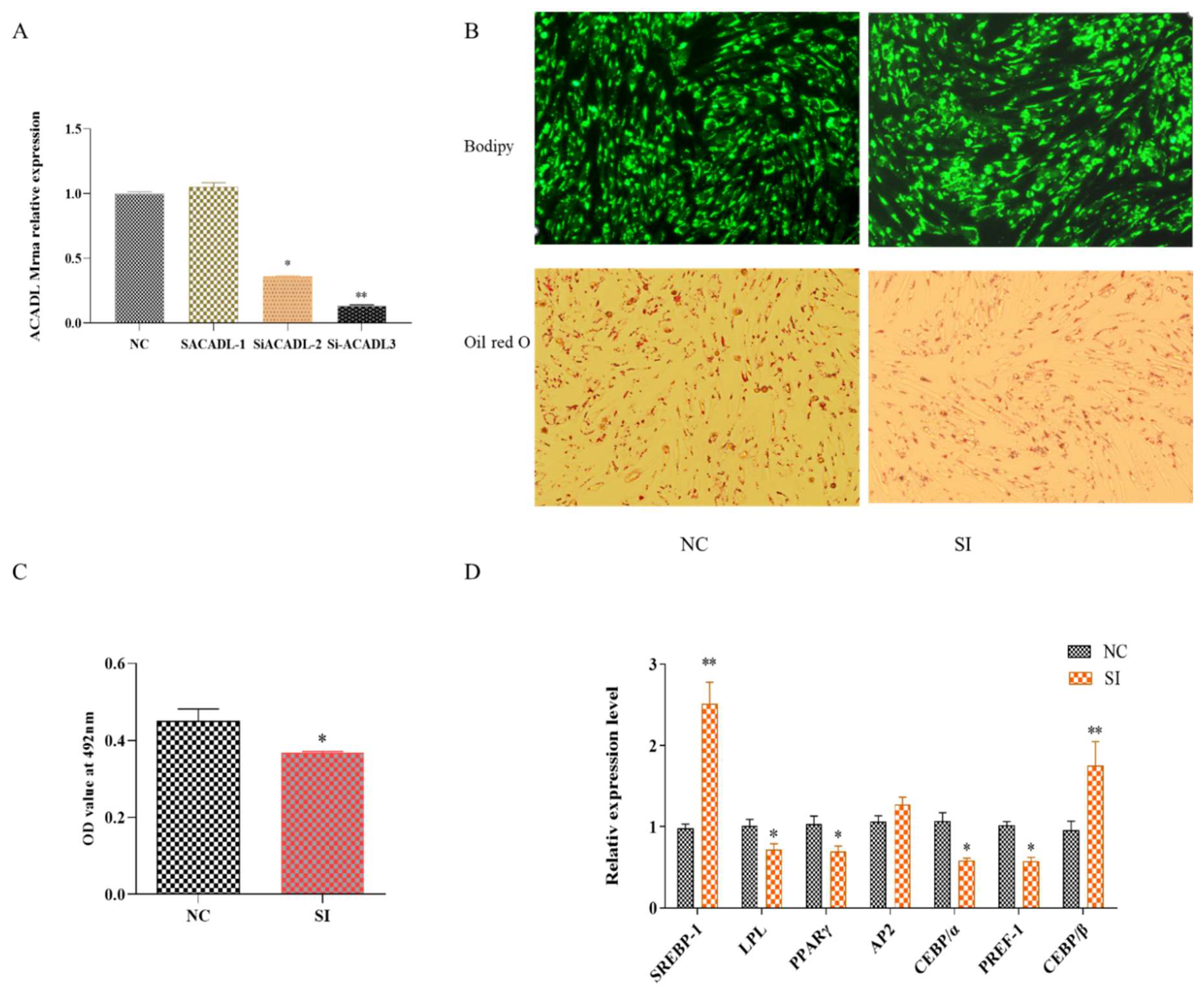 Animals 13 00281 g002