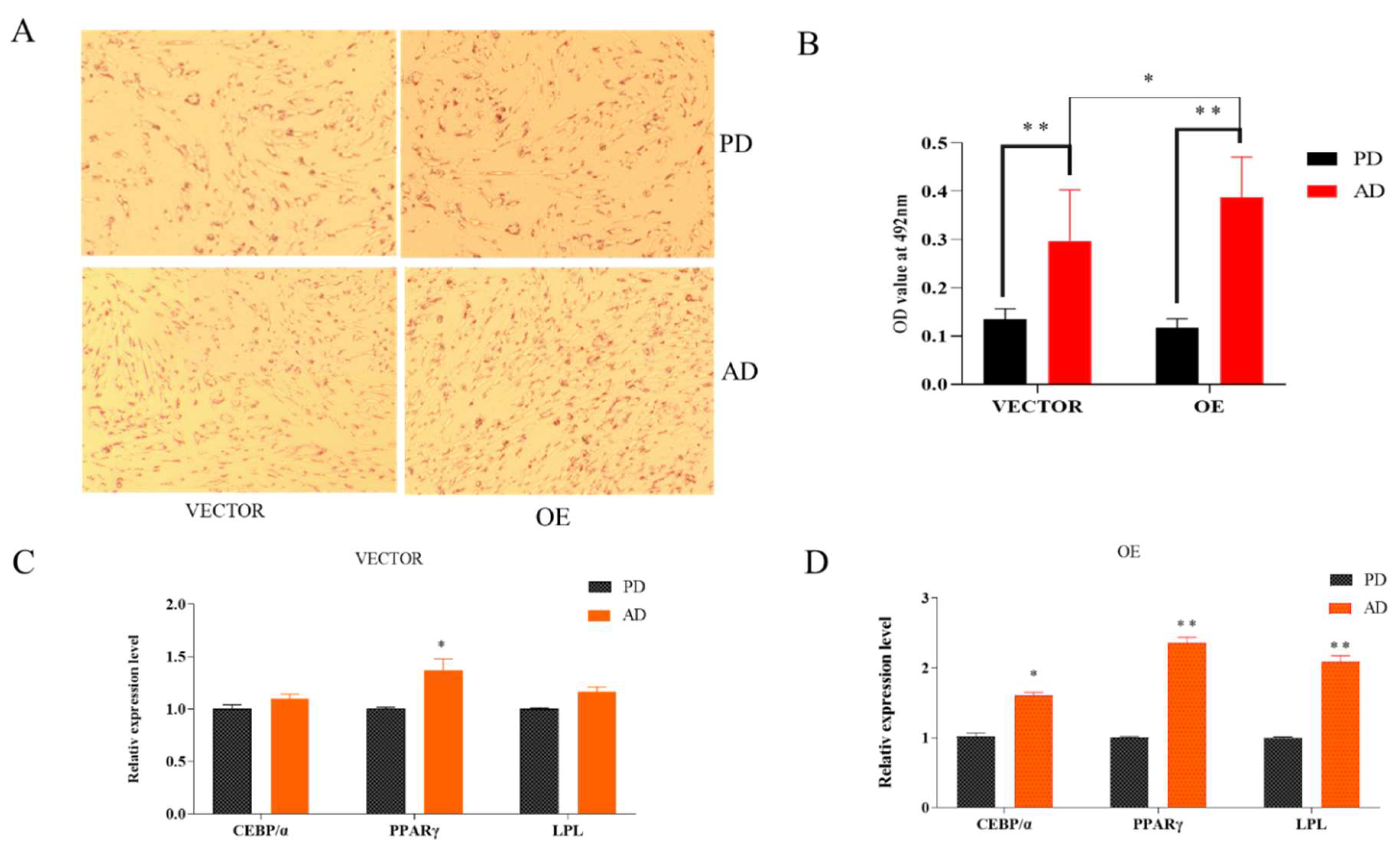Animals 13 00281 g003