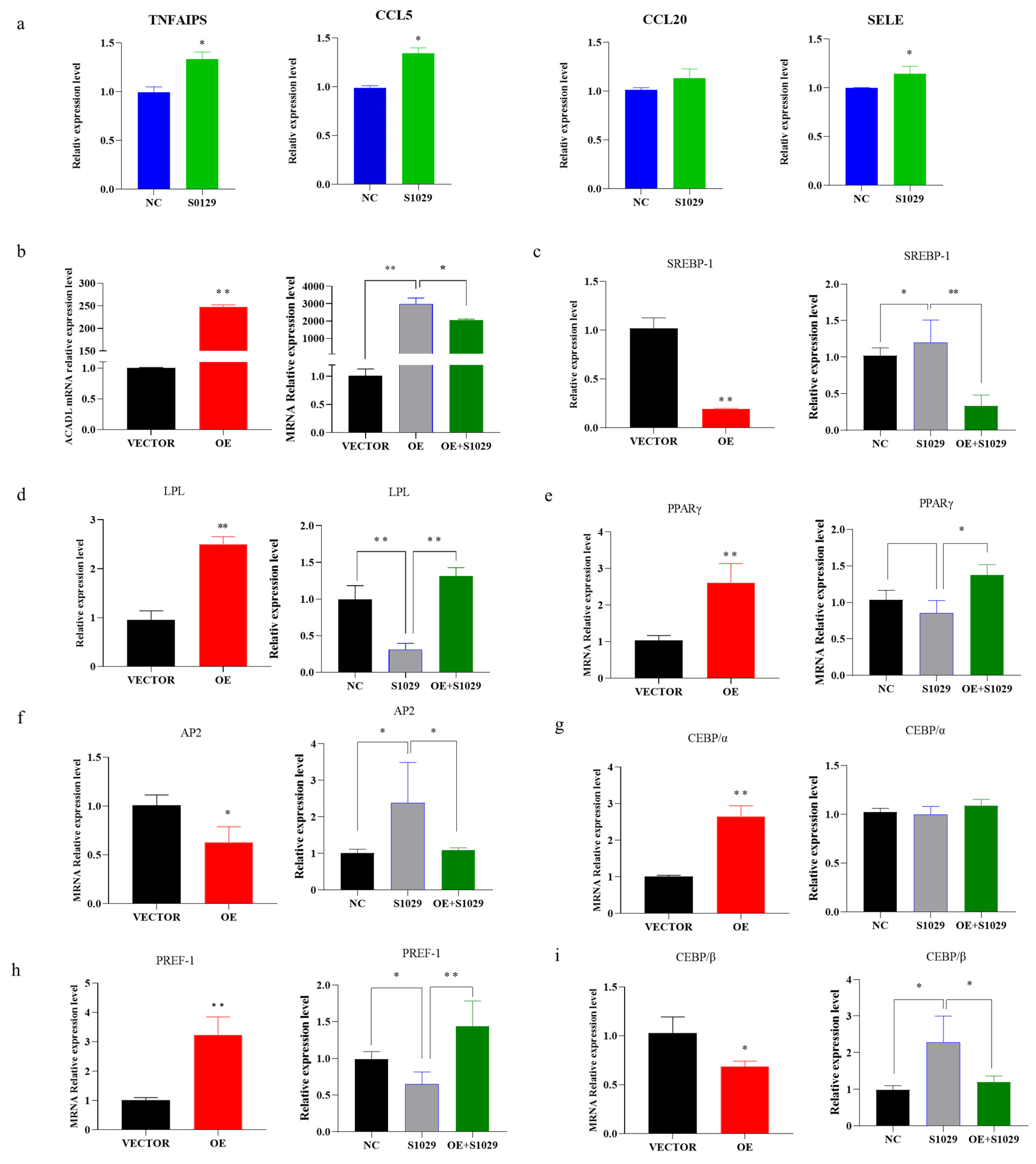 Animals 13 00281 g007