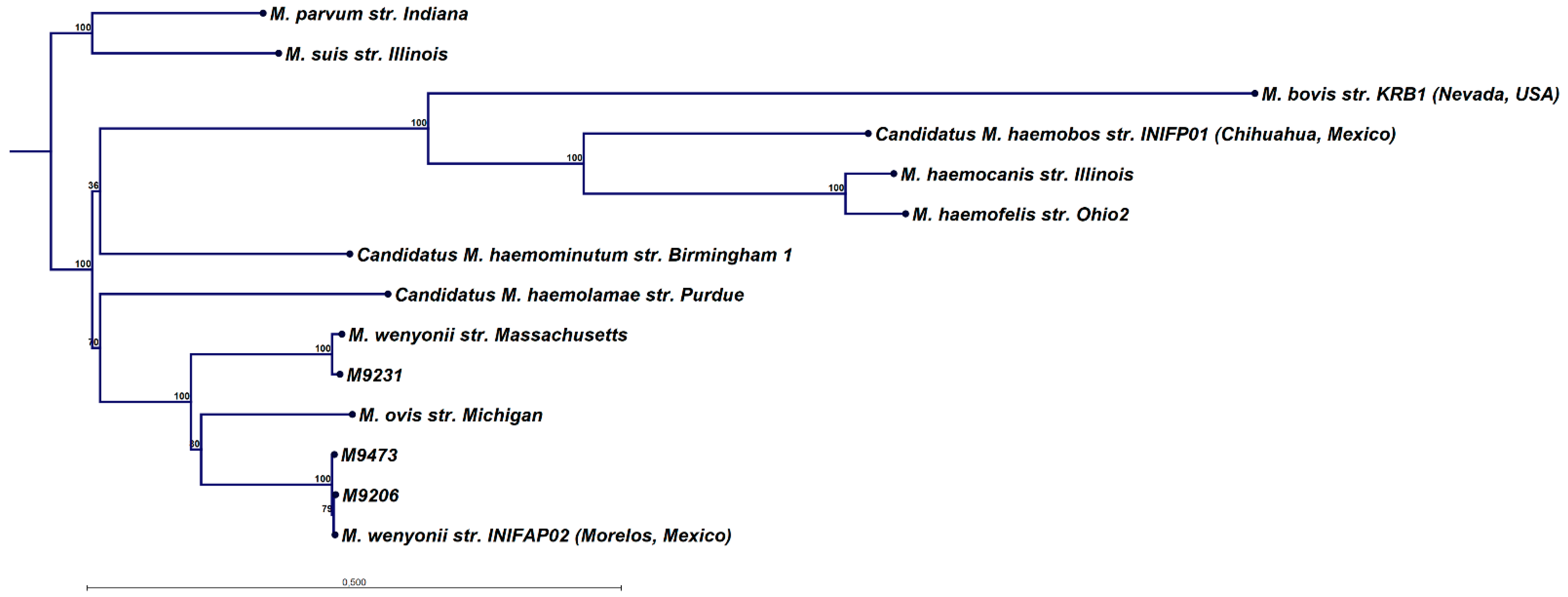 Animals 13 00286 g001