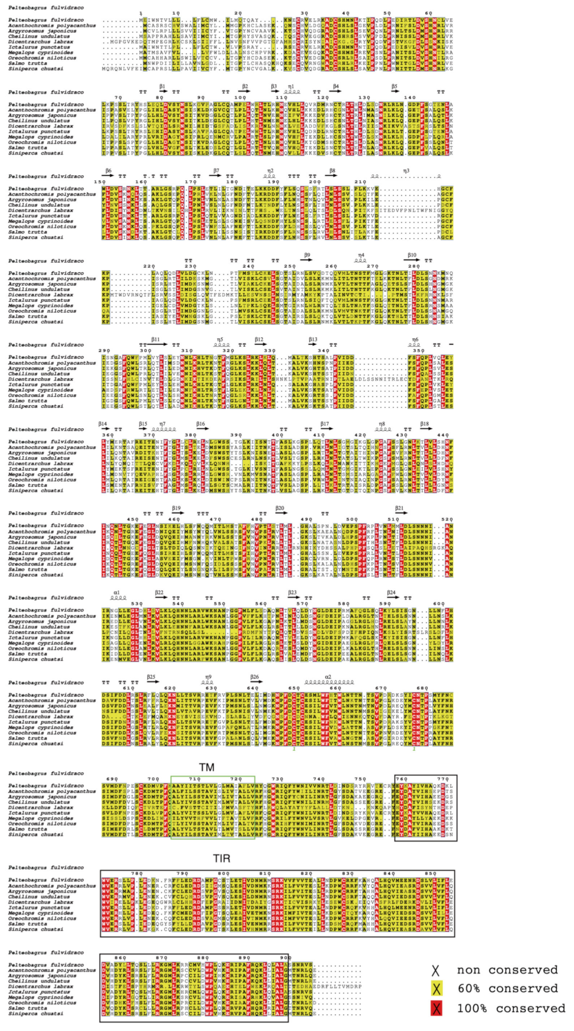 Animals 13 00288 g001