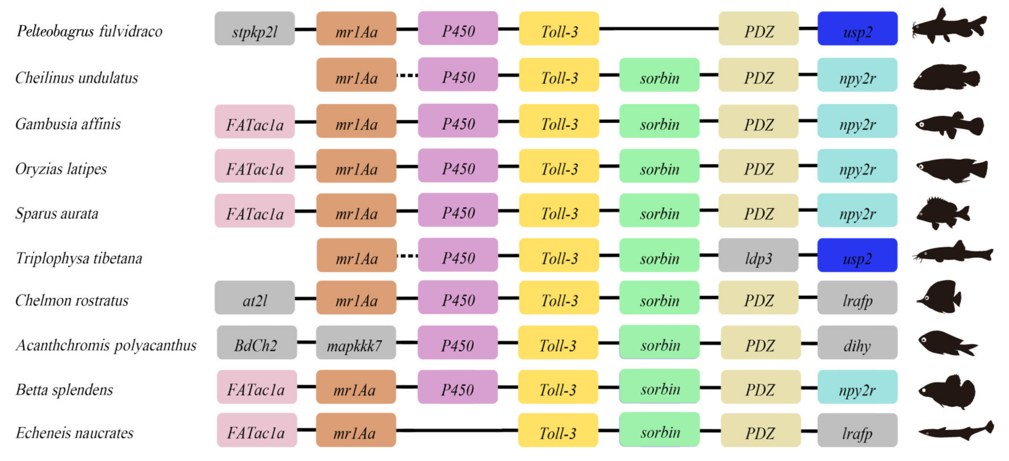 Animals 13 00288 g003