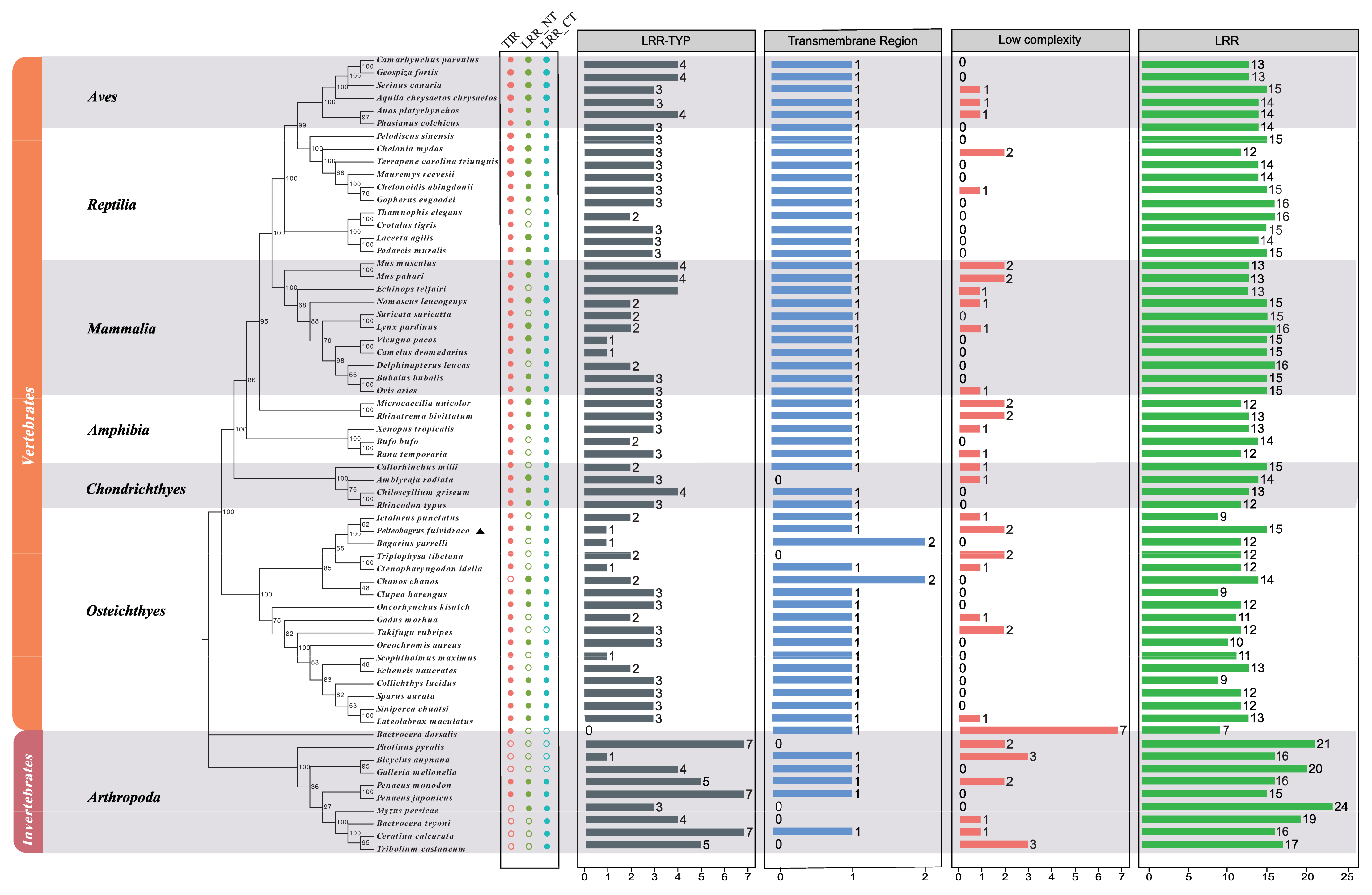 Animals 13 00288 g005