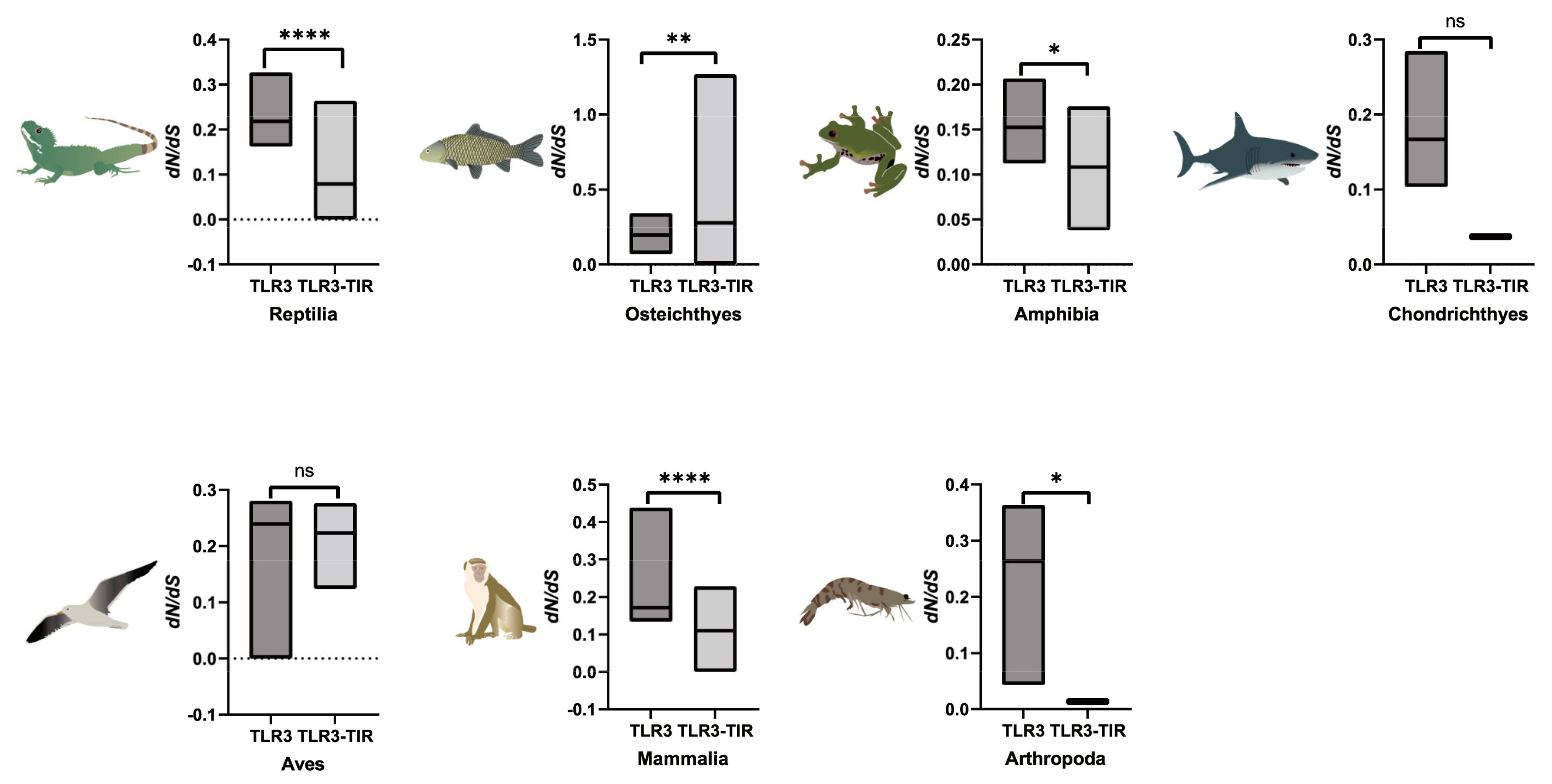 Animals 13 00288 g006