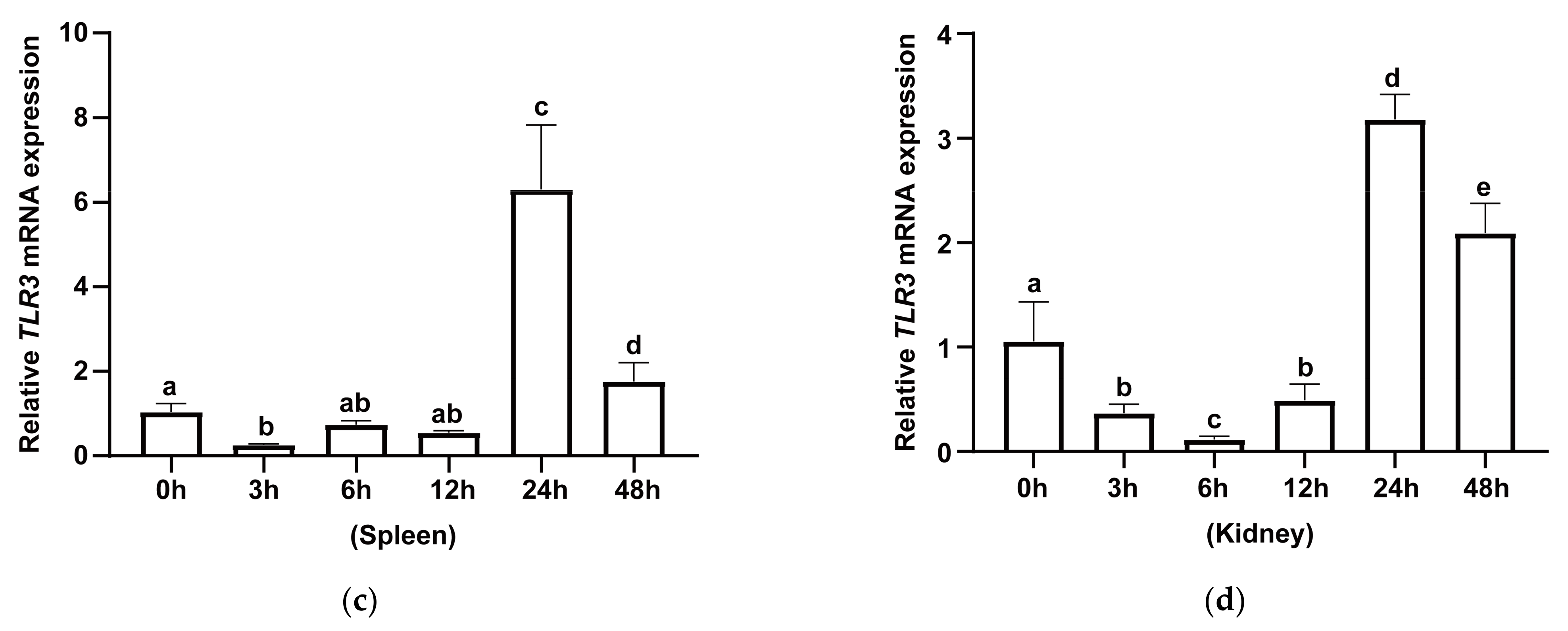 Animals 13 00288 g008b