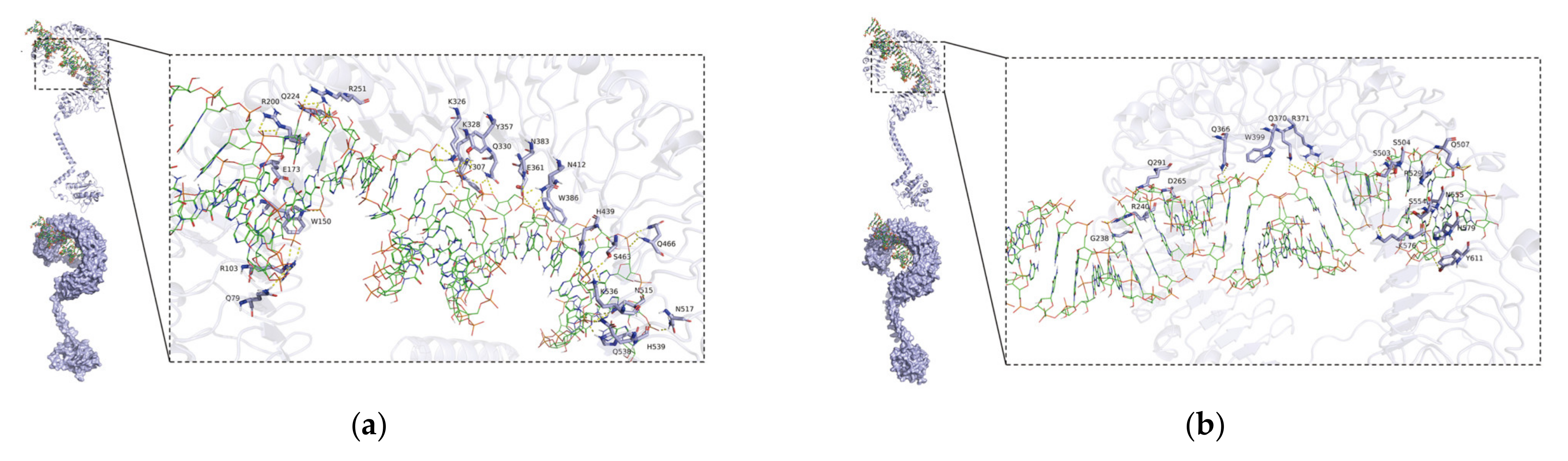 Animals 13 00288 g009a