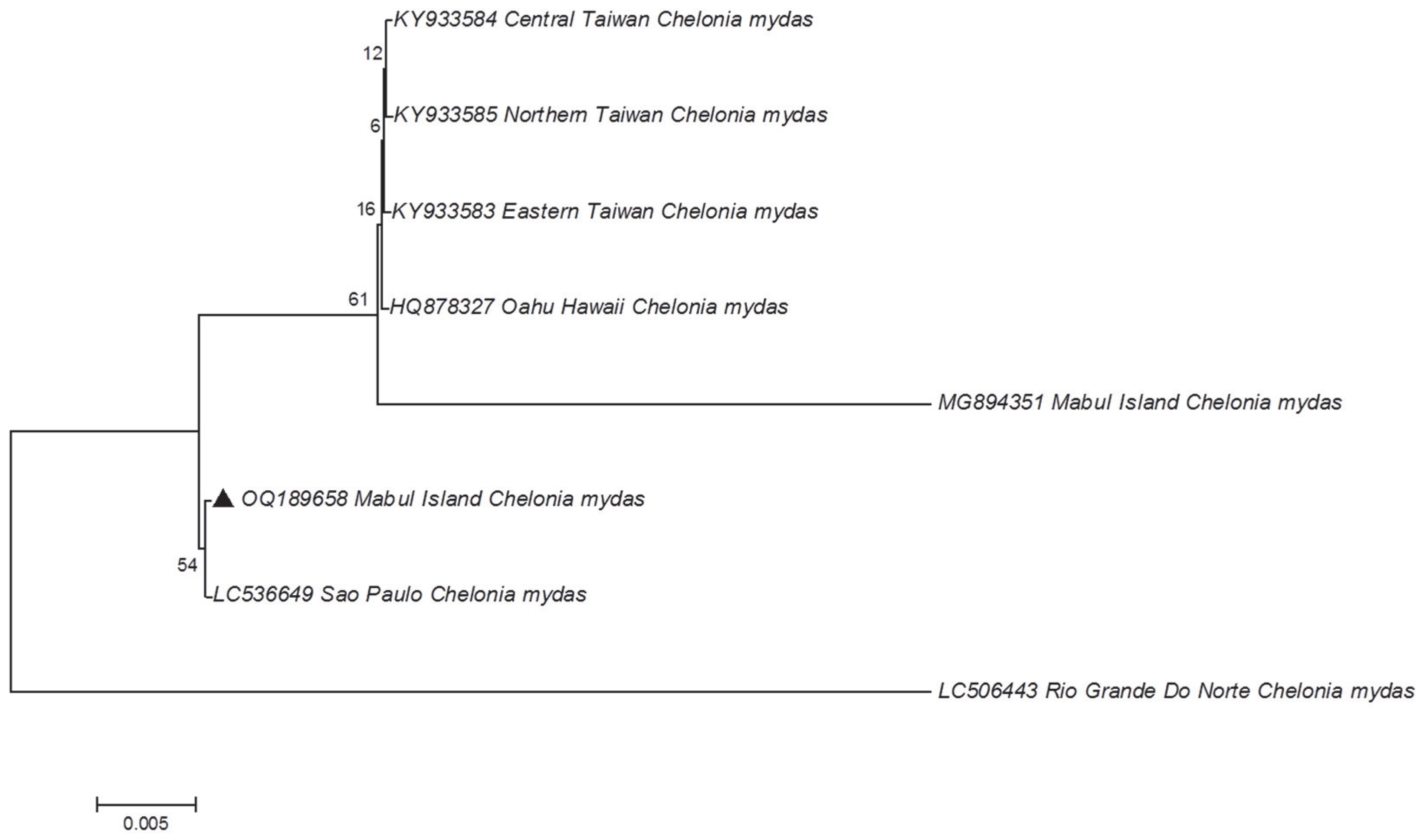 Animals 13 00290 g003