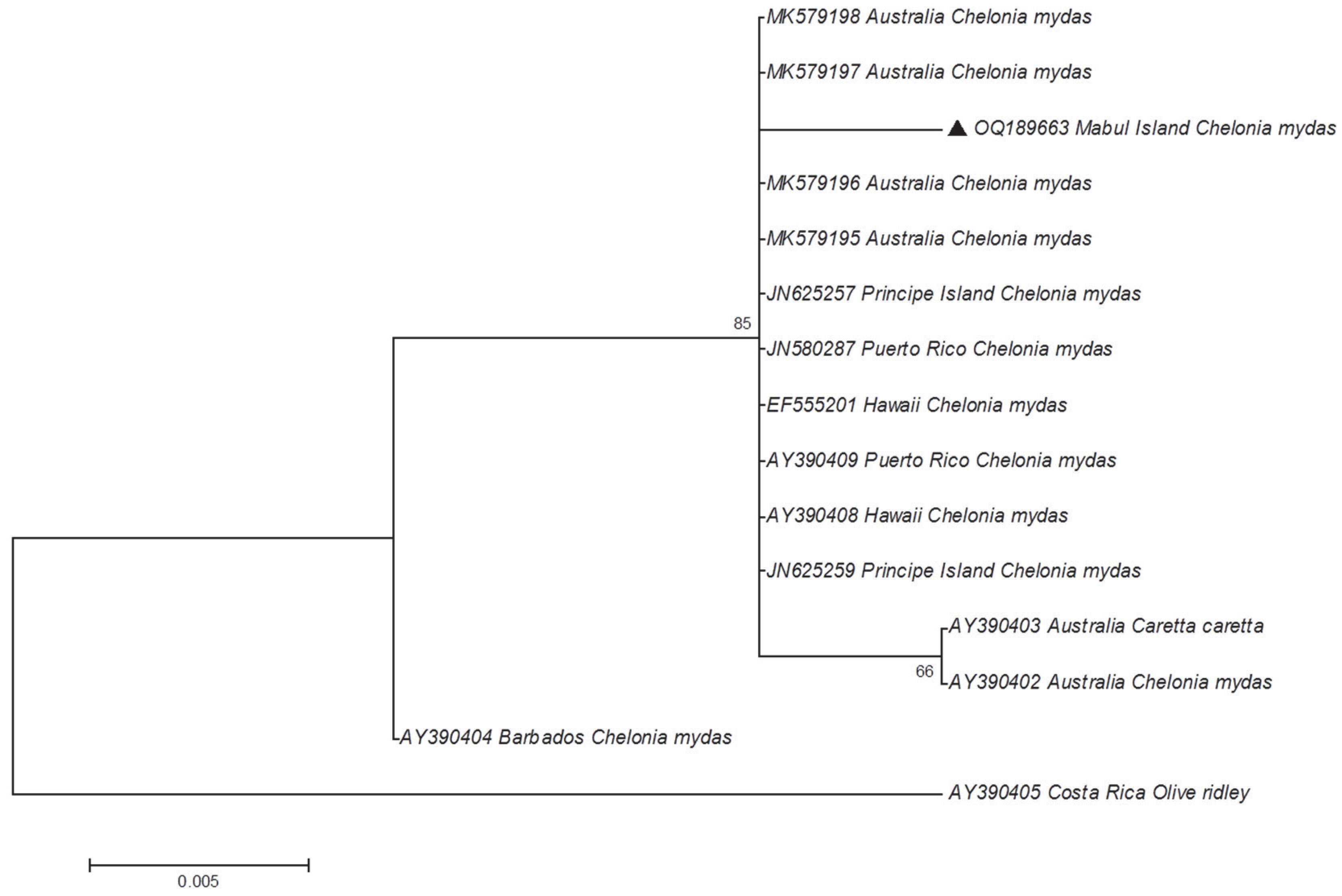 Animals 13 00290 g004