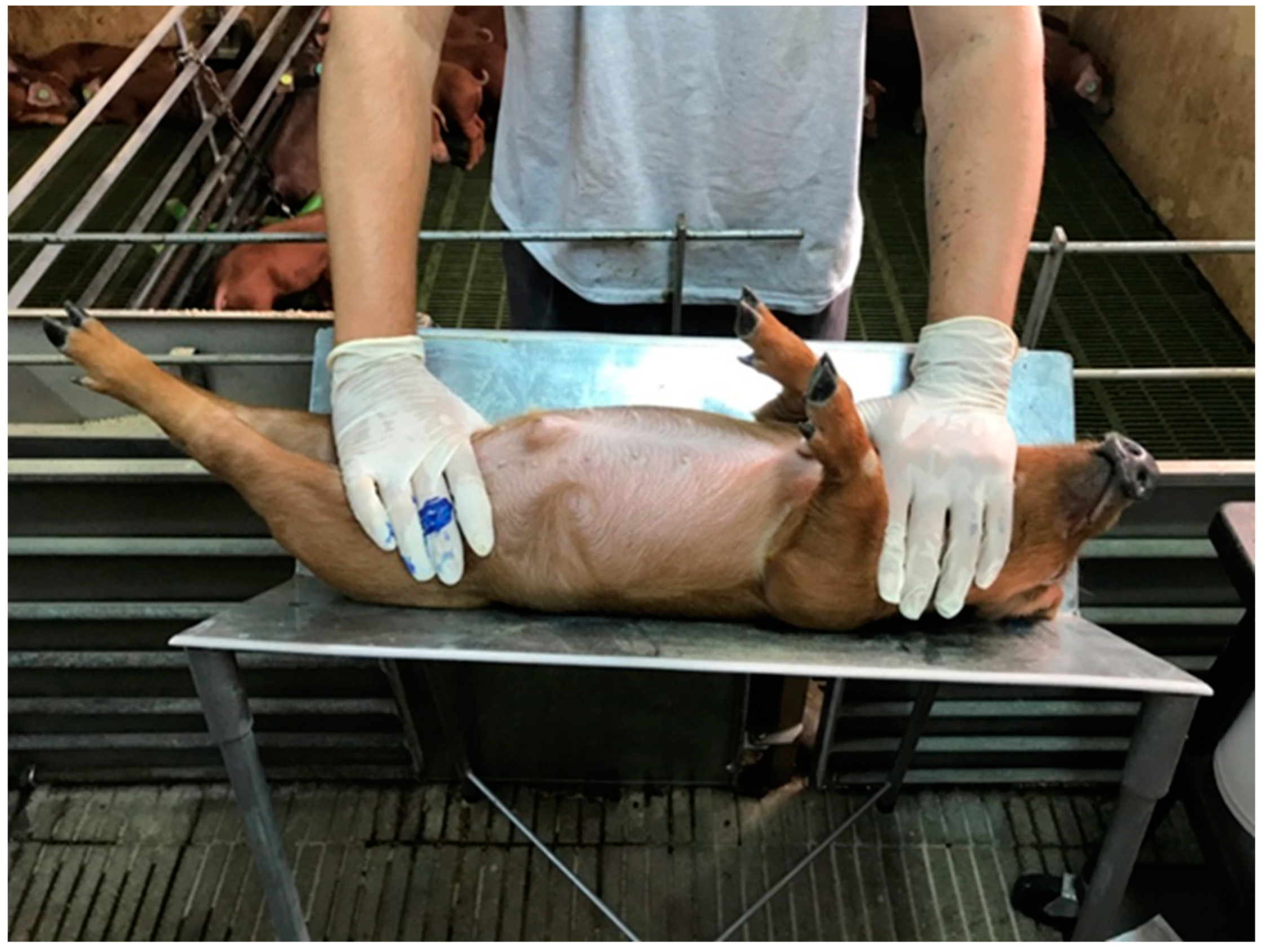 Animals 13 00292 g001