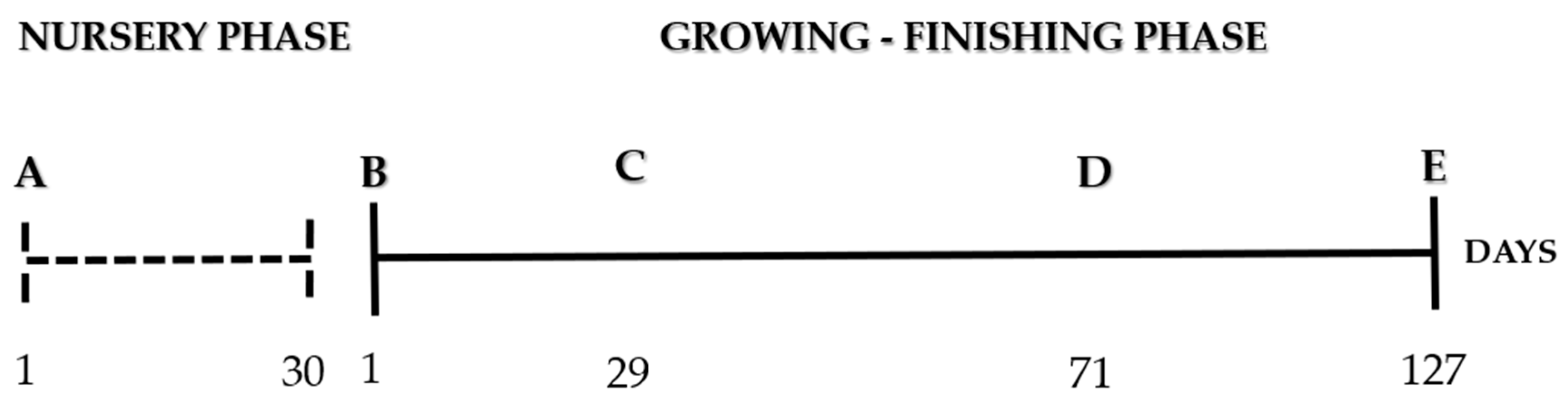 Animals 13 00292 g002