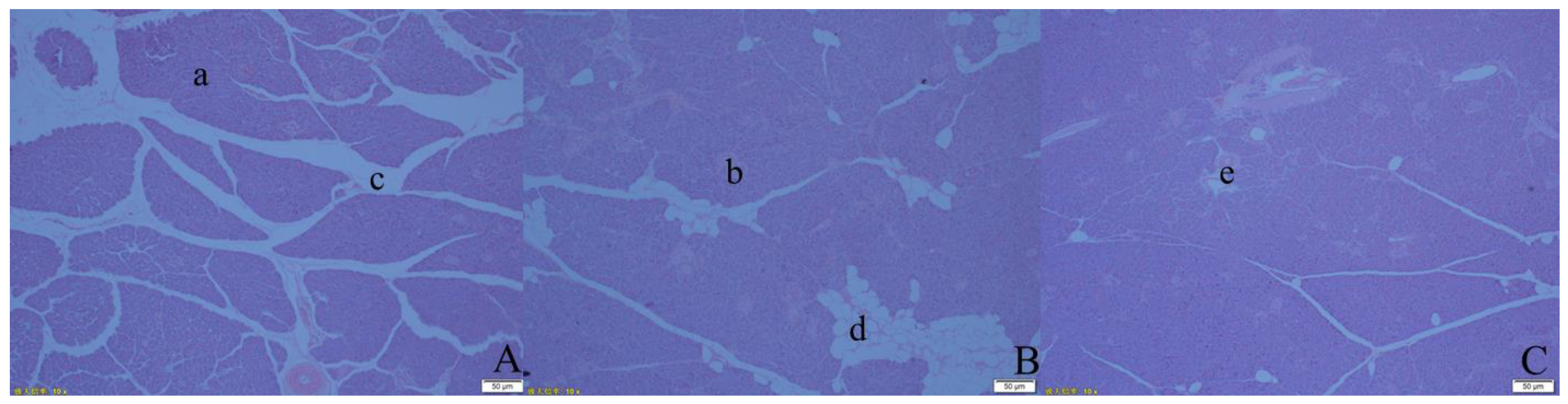 Animals 13 00293 g001