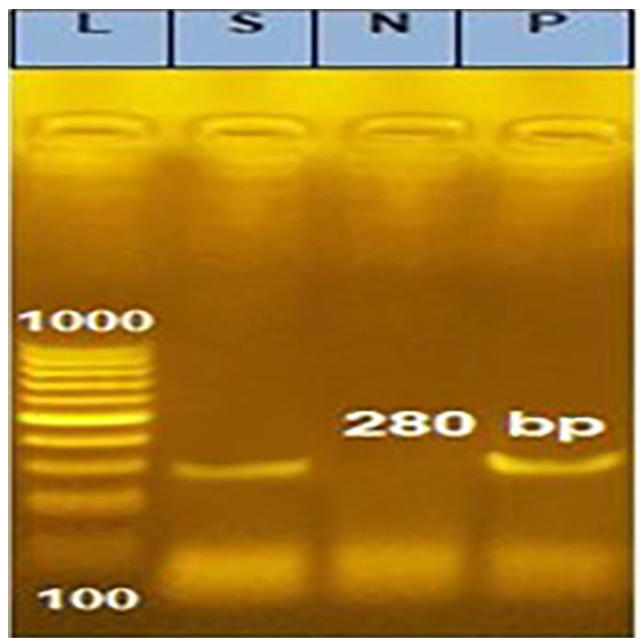 Animals 13 00296 g002