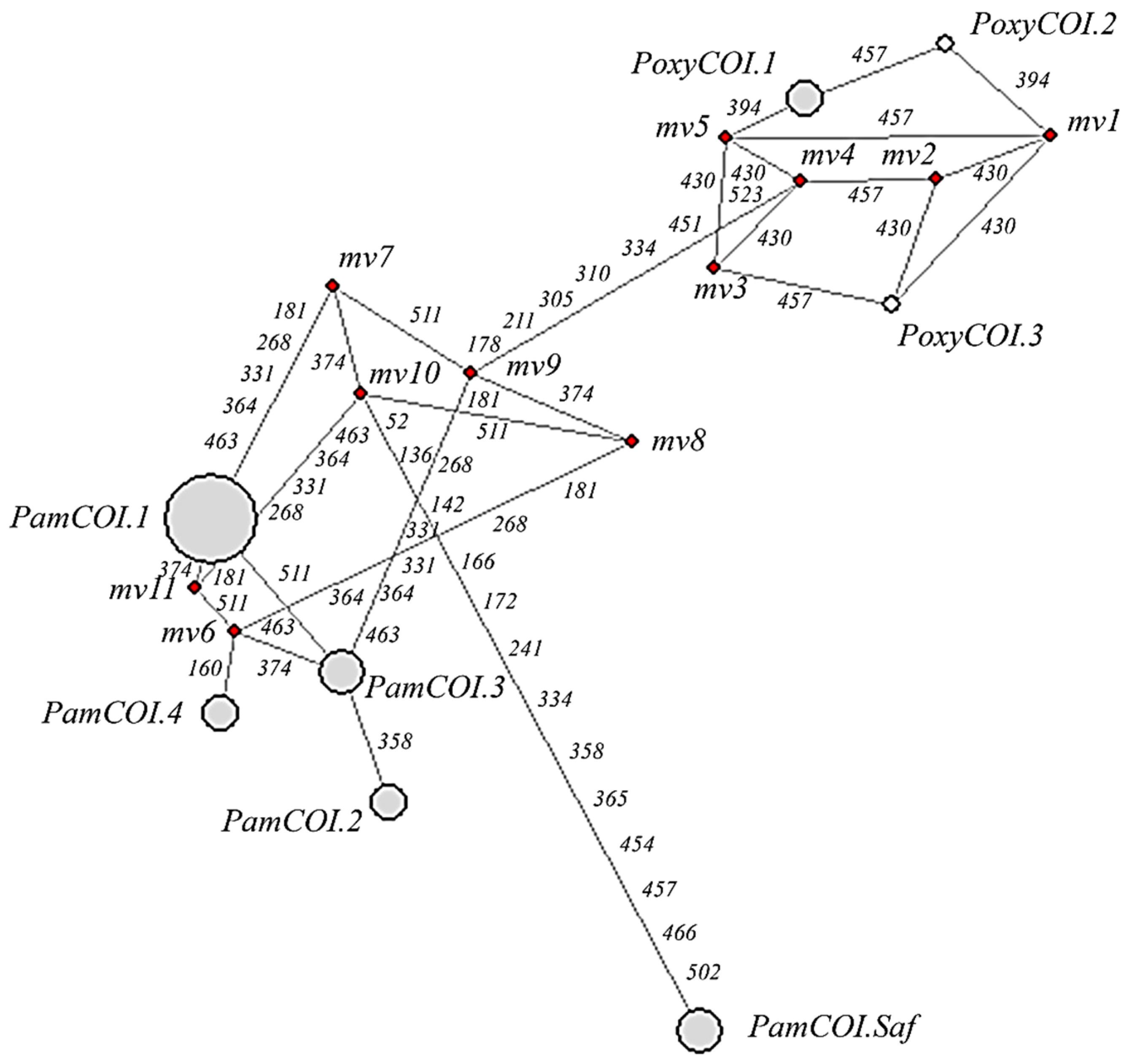 Animals 13 00302 g002 Animals 13 00302 g002