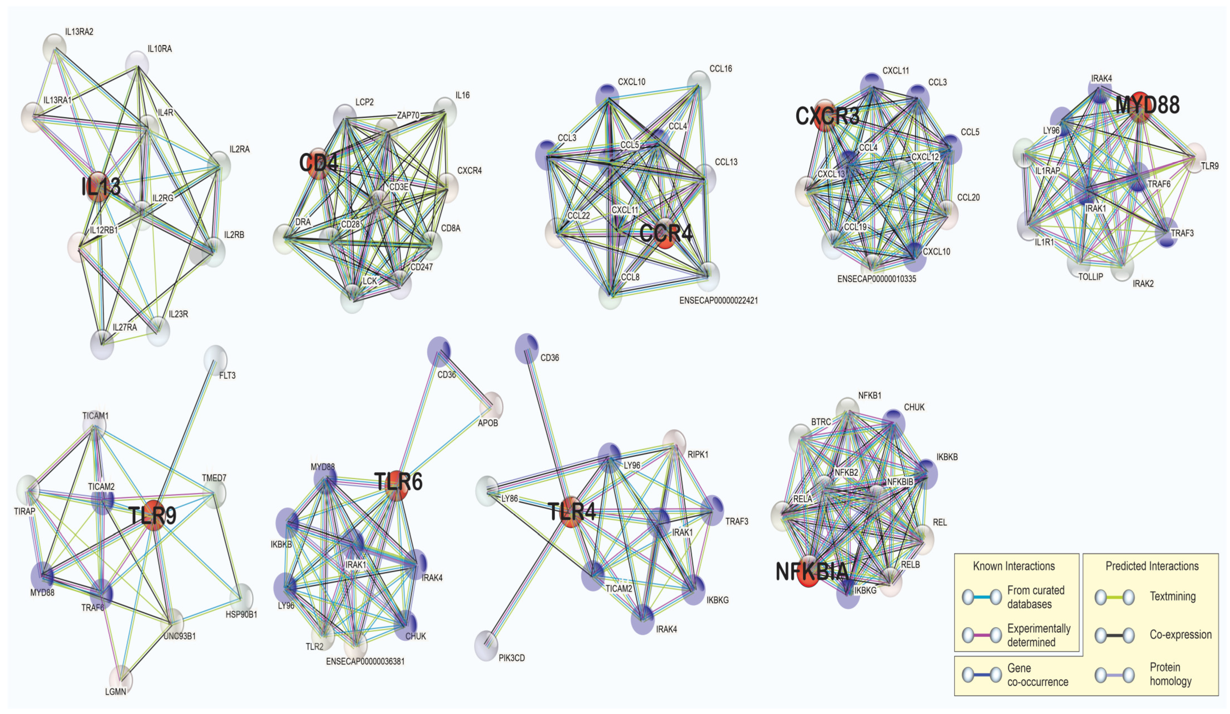Animals 13 00308 g004 Animals 13 00308 g004