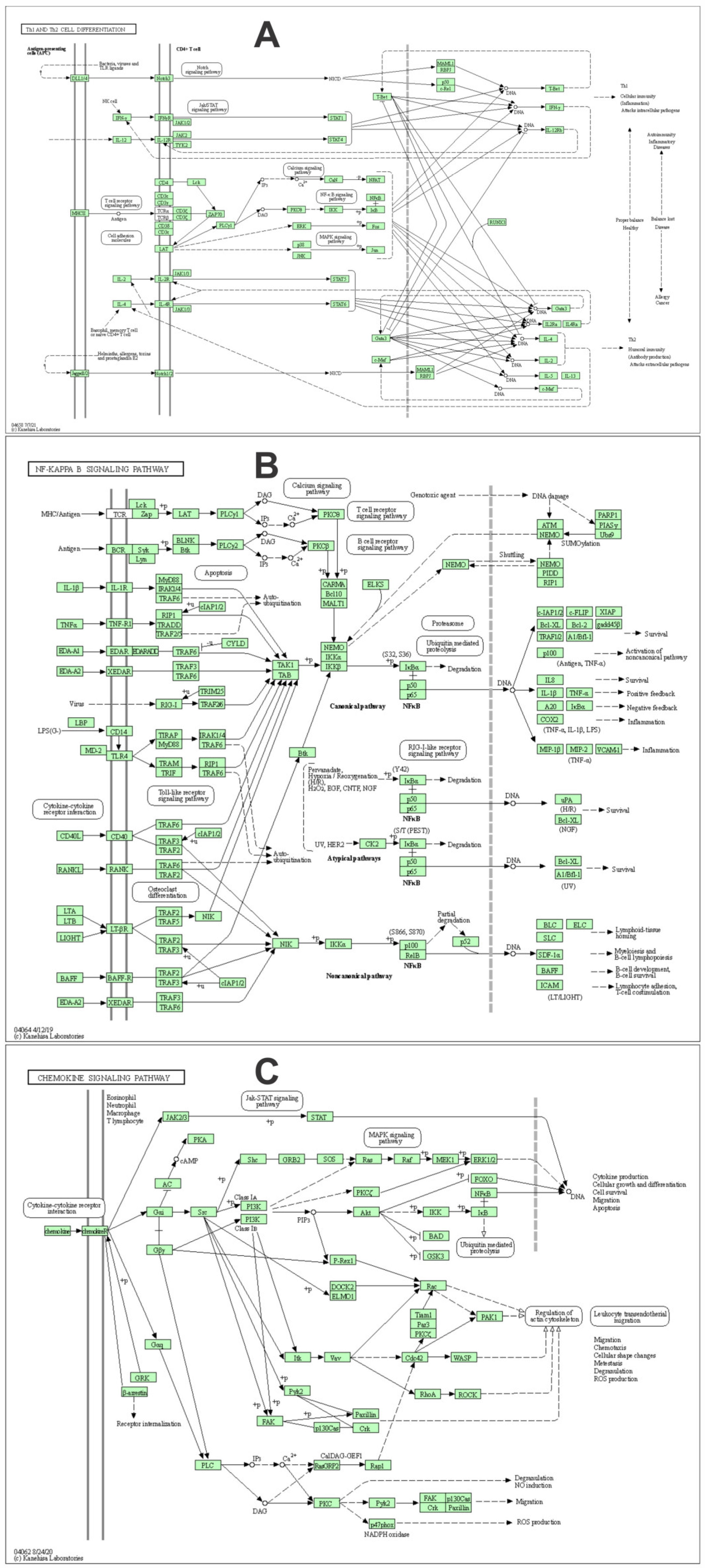 Animals 13 00308 g005 Animals 13 00308 g005