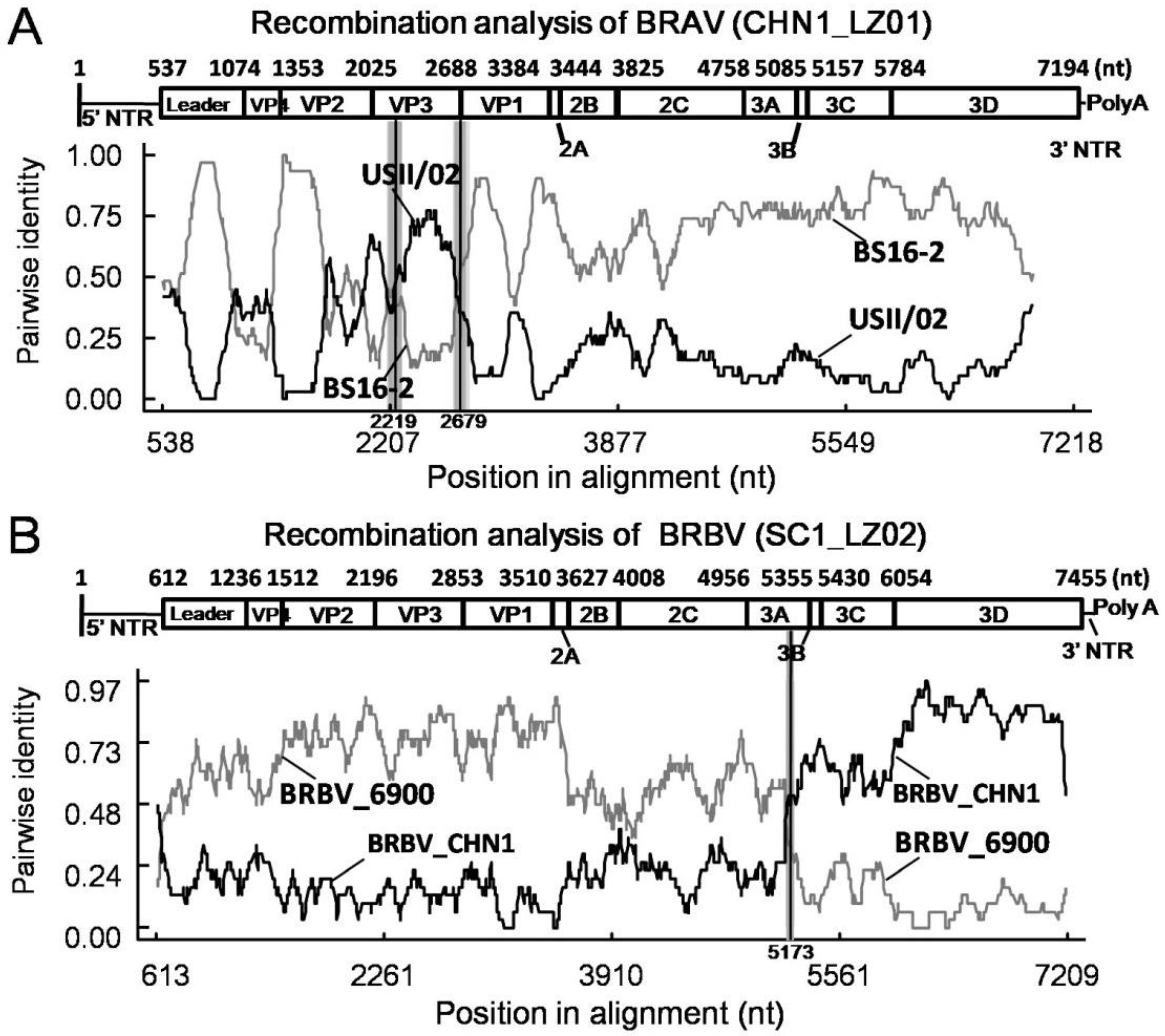 Animals 13 00312 g003 Animals 13 00312 g003