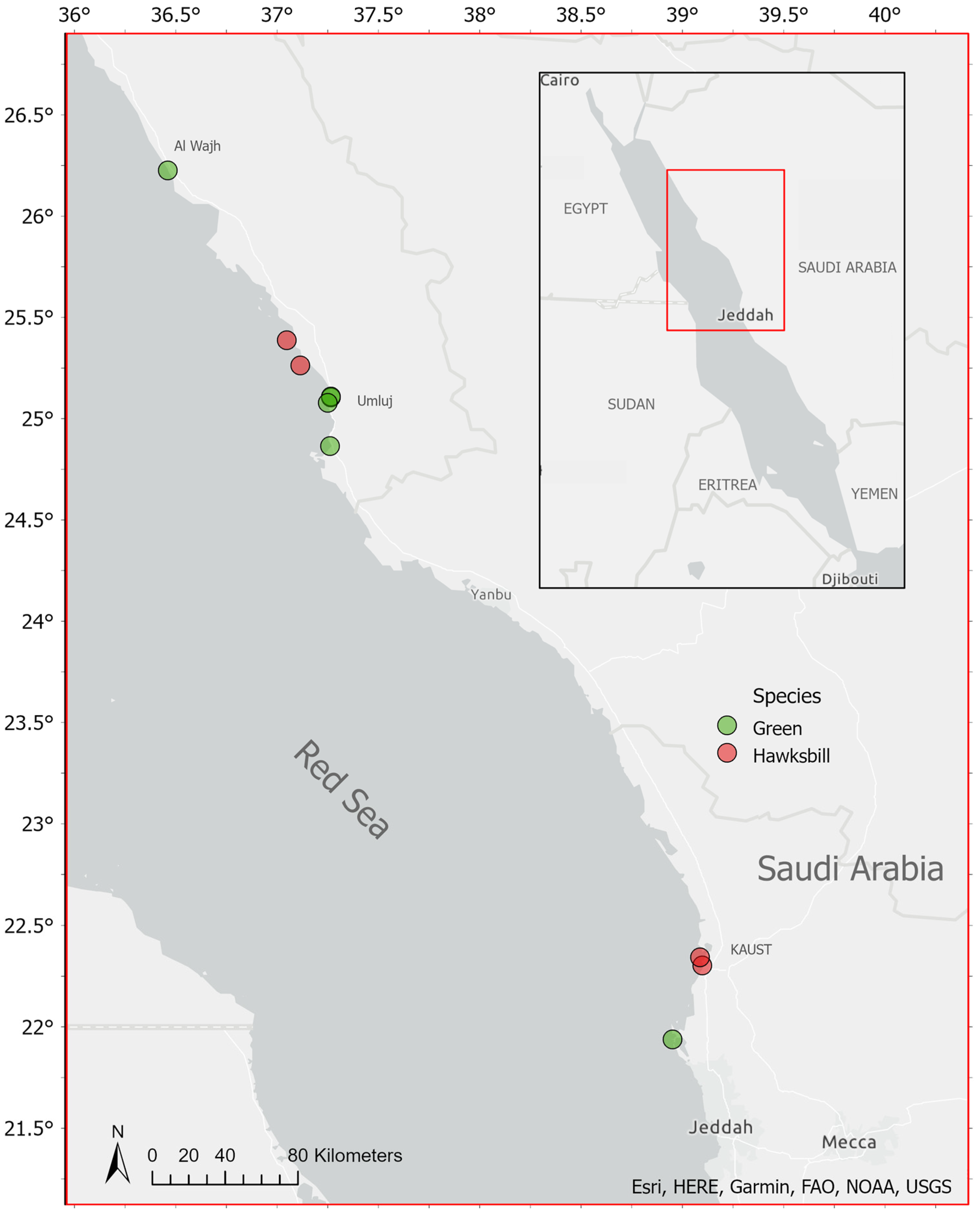 Animals 13 00314 g001