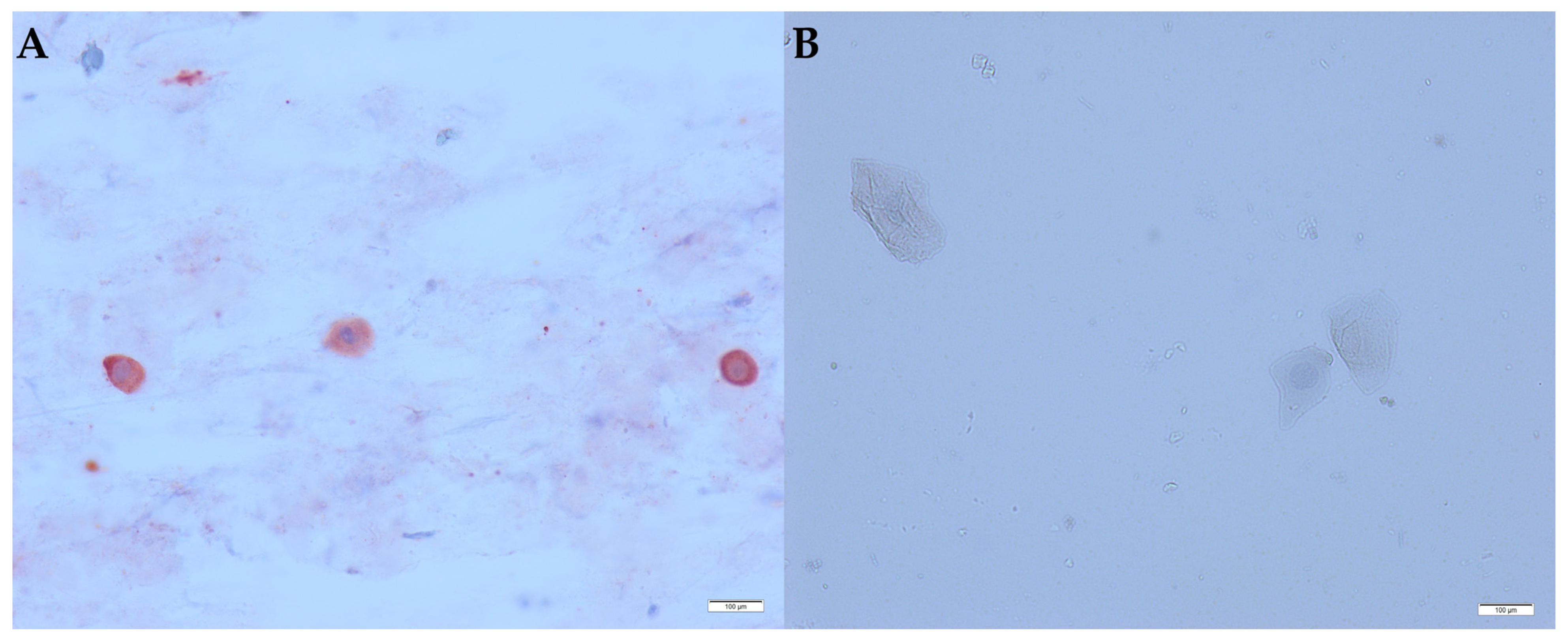 Animals 13 00316 g001