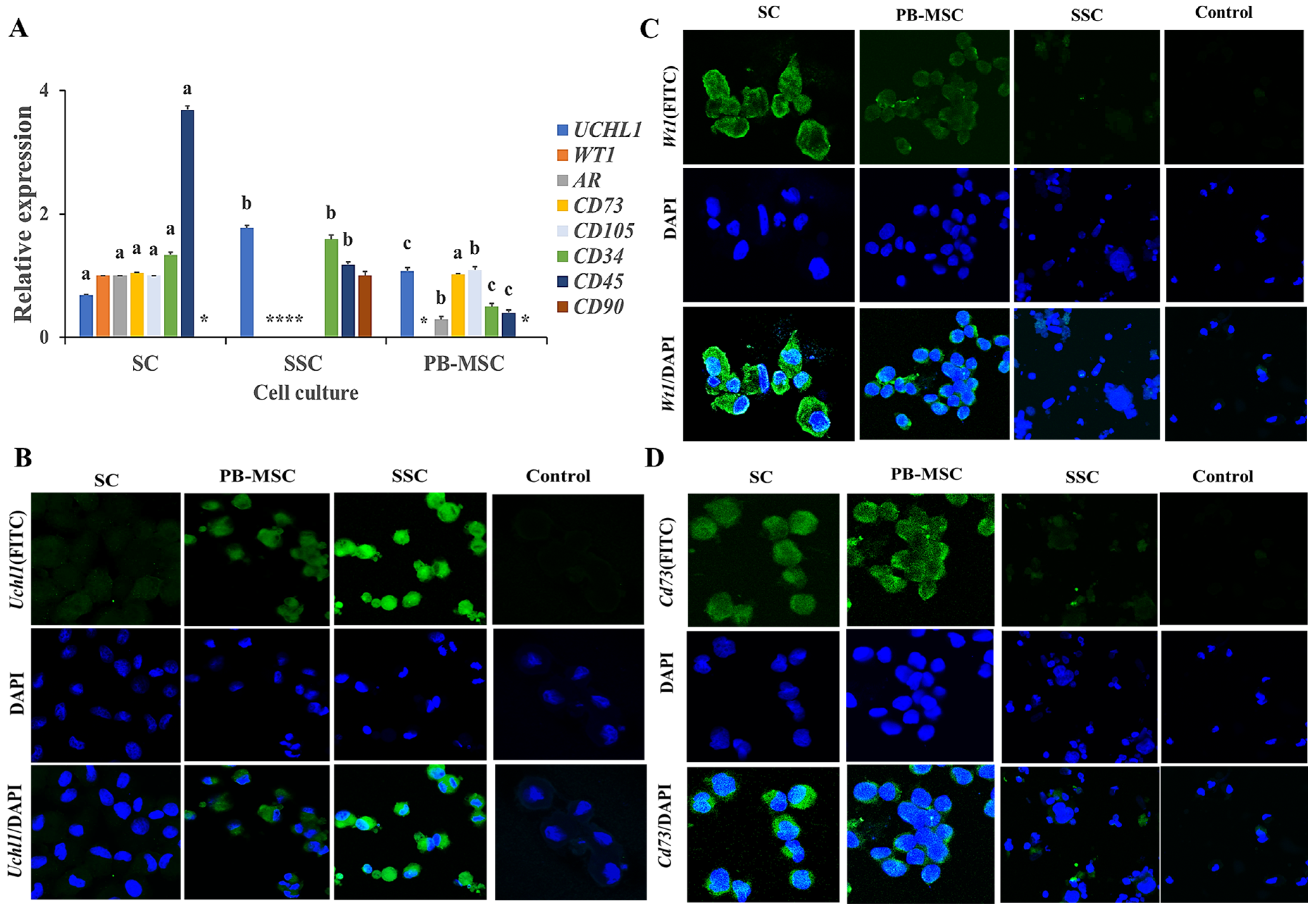 Animals 13 00318 g002