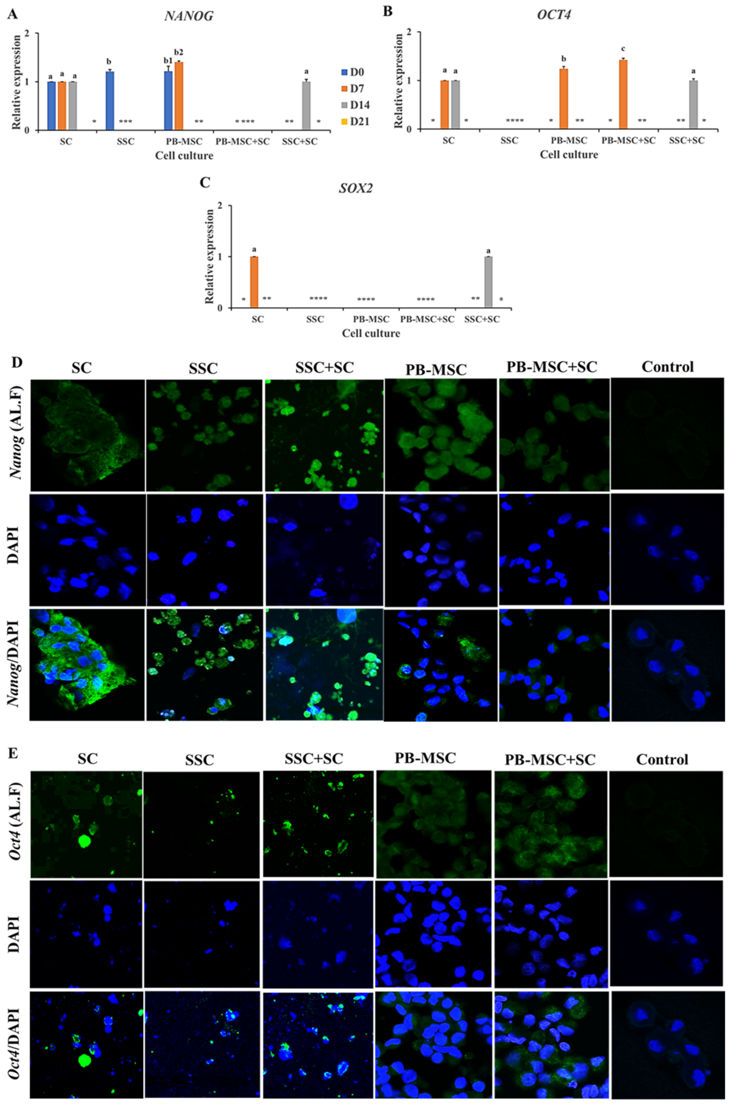 Animals 13 00318 g003