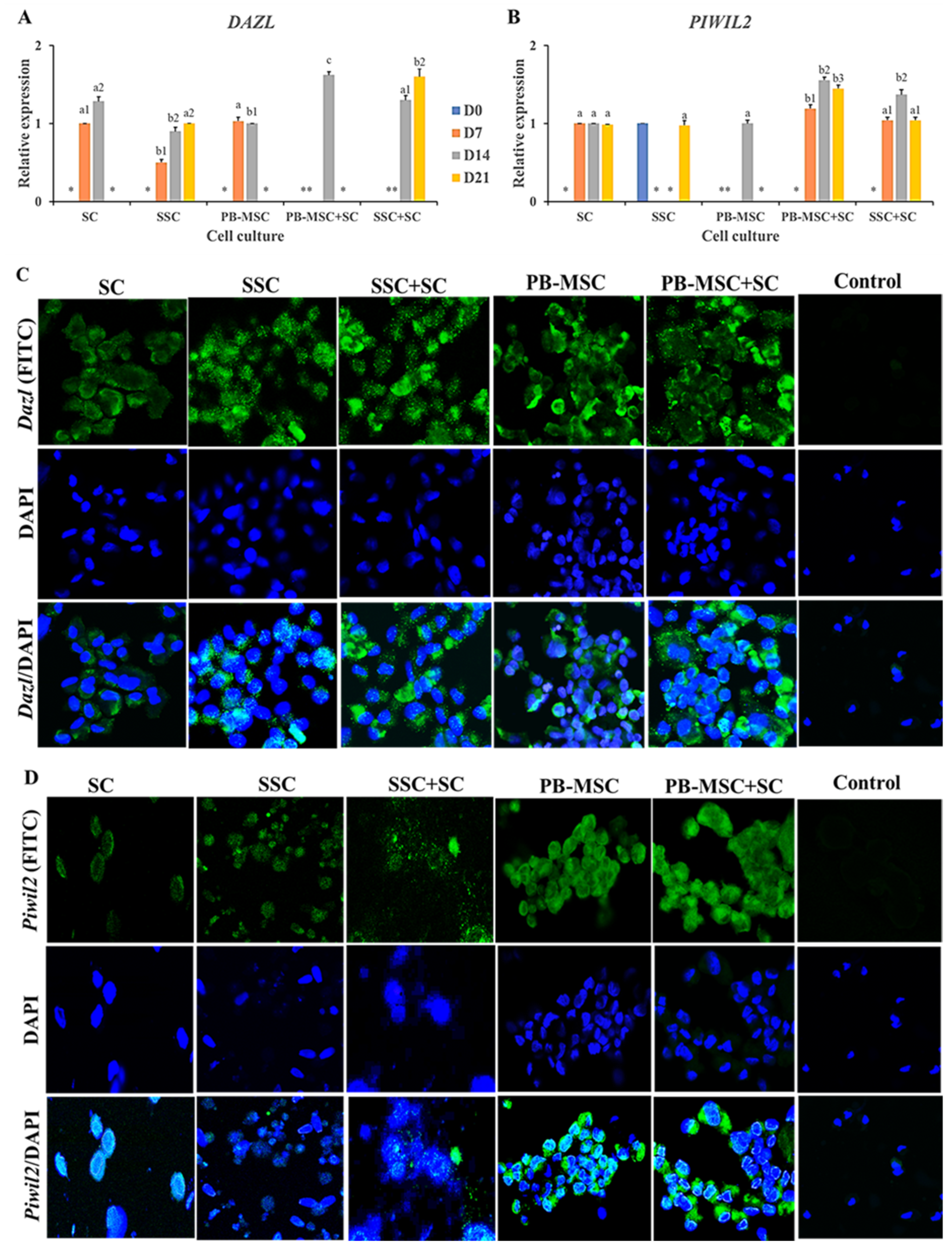 Animals 13 00318 g004