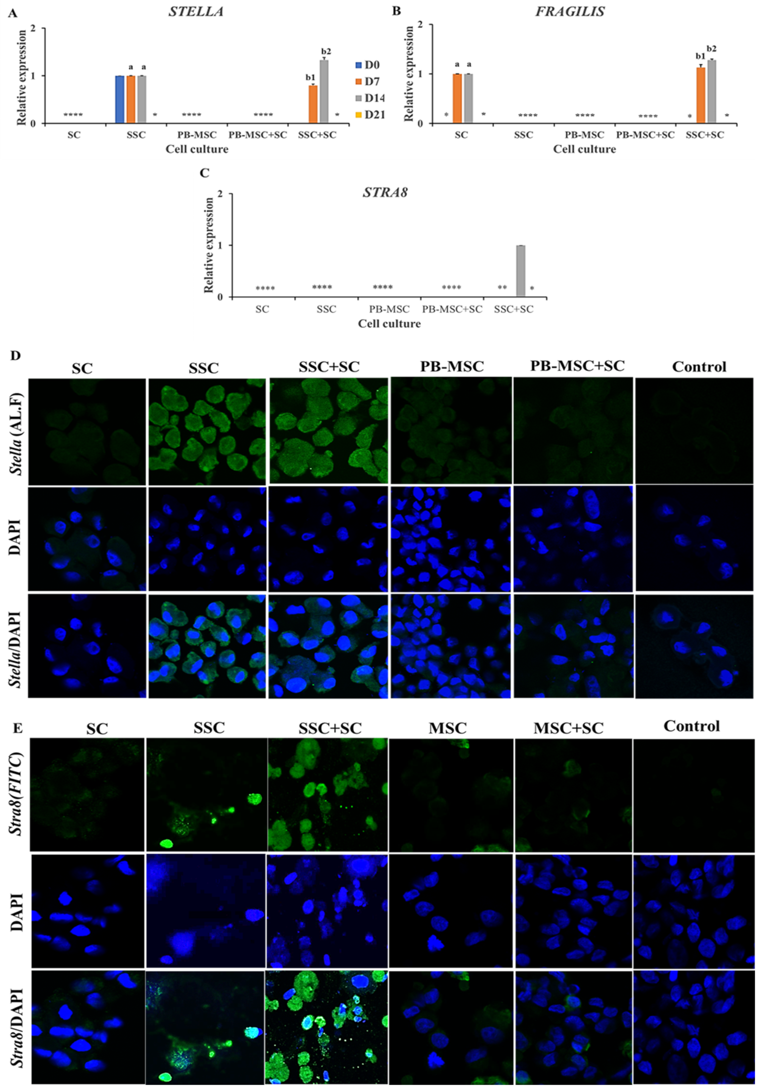 Animals 13 00318 g005