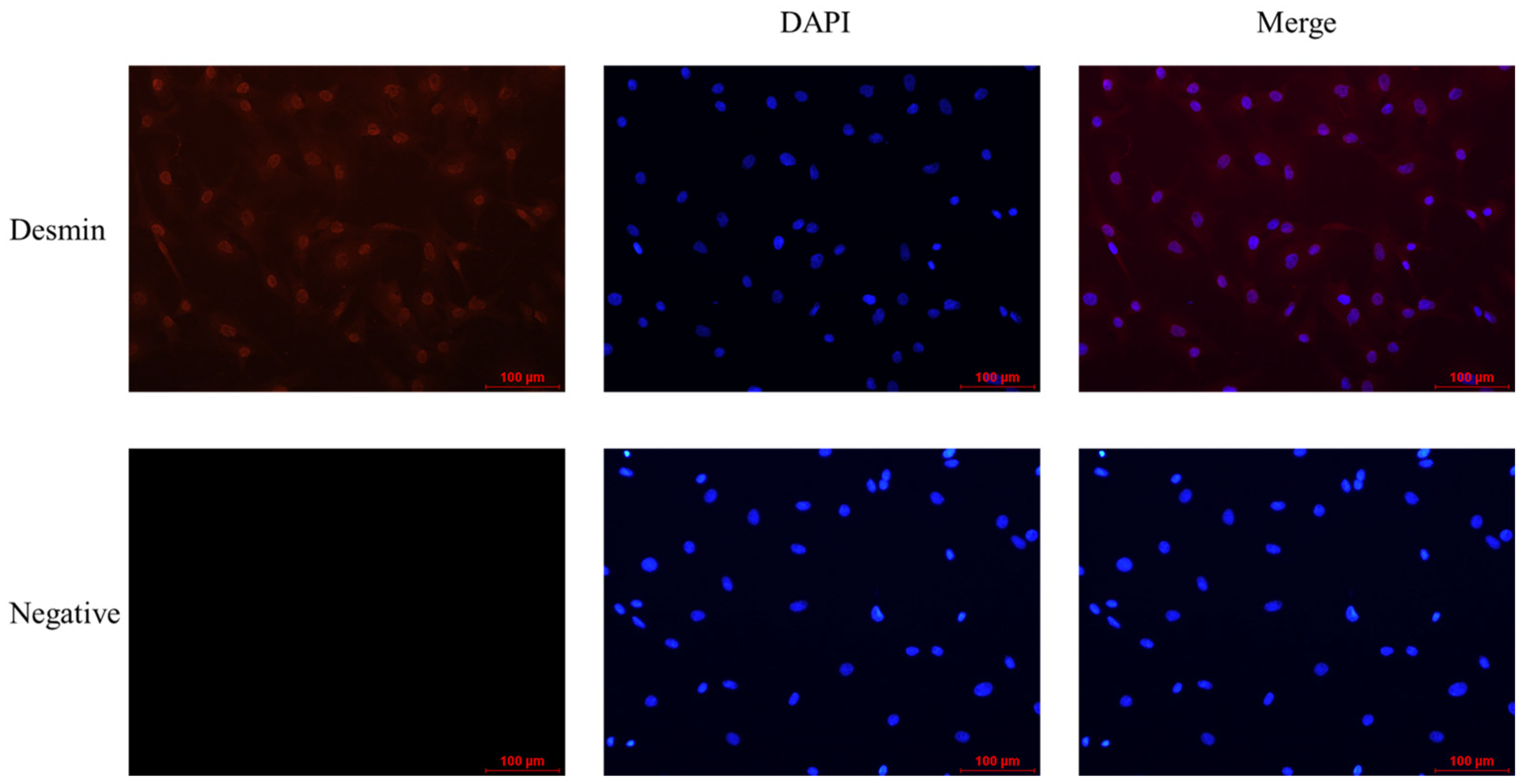 Animals 13 00319 g002