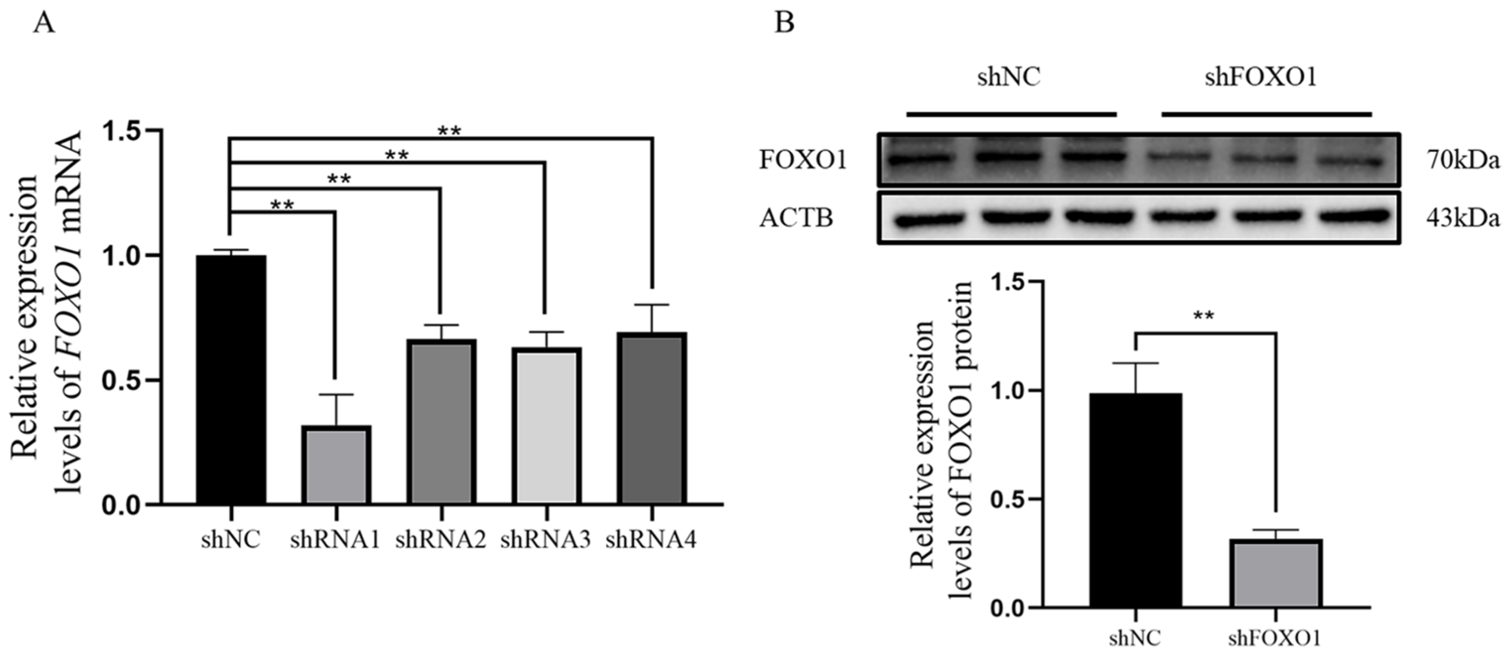 Animals 13 00319 g003