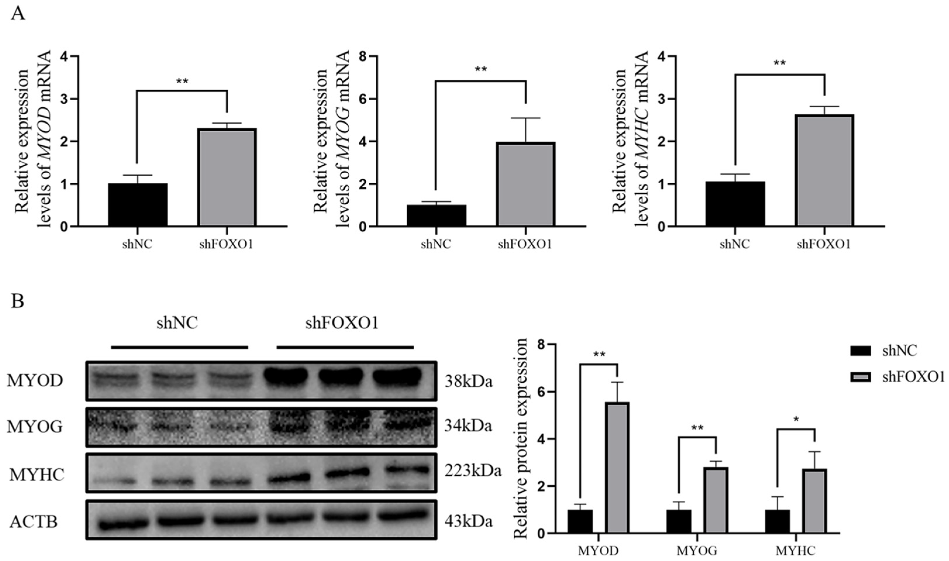 Animals 13 00319 g005