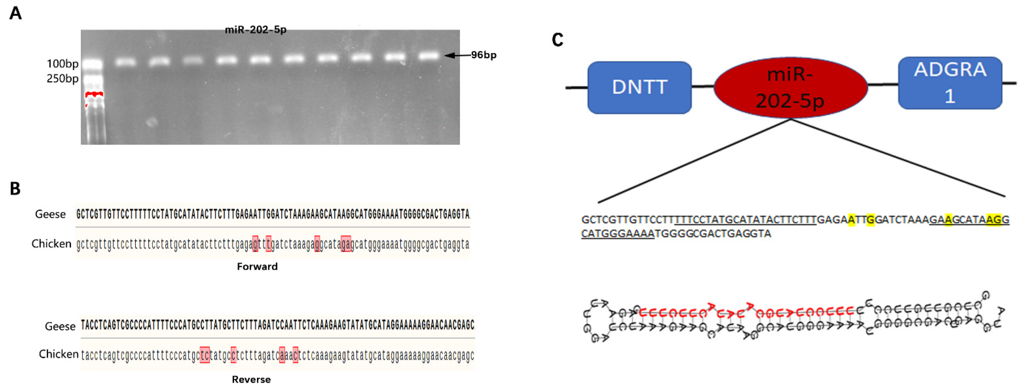 Animals 13 00325 g001