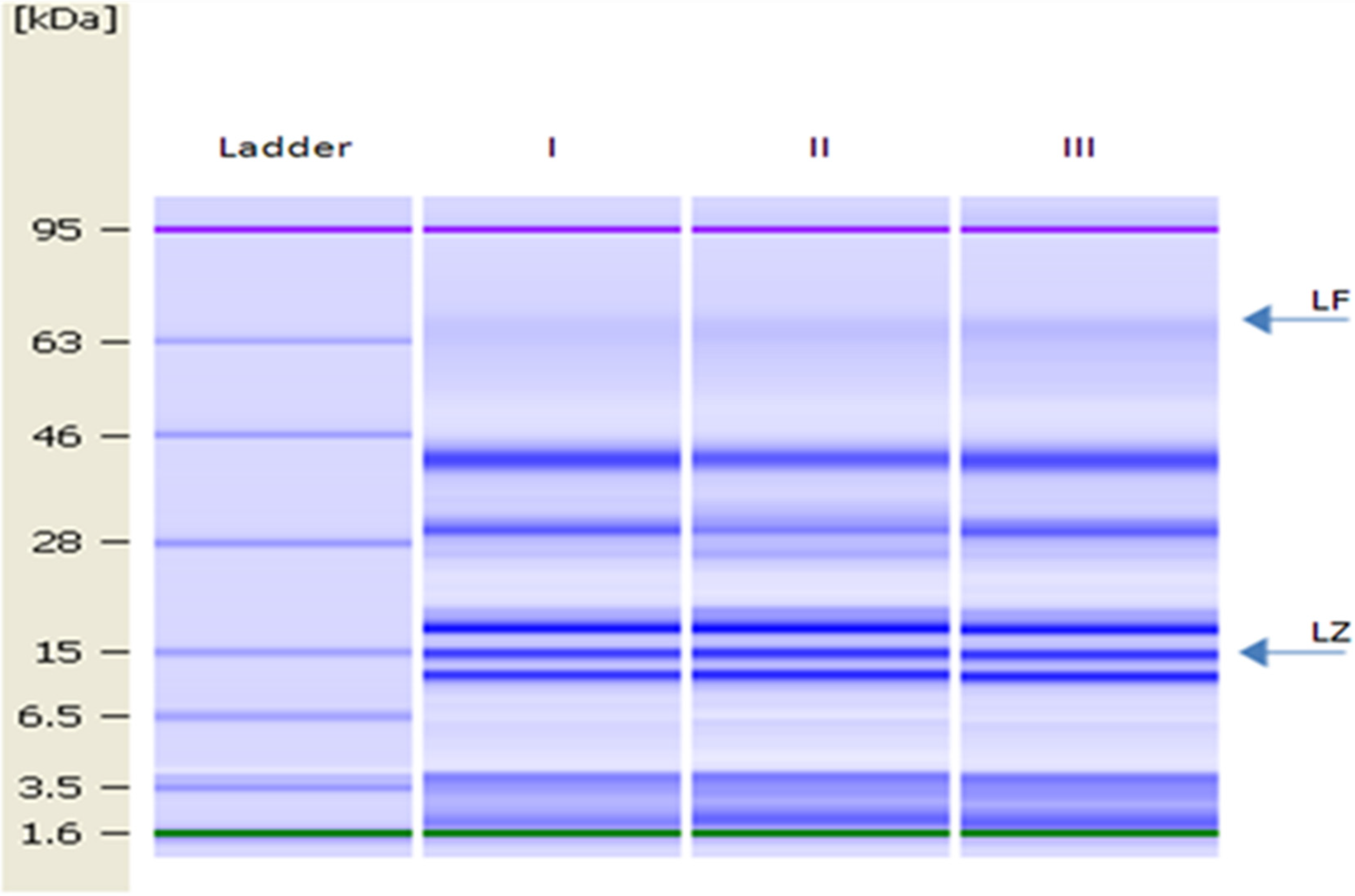 Animals 13 00327 g002