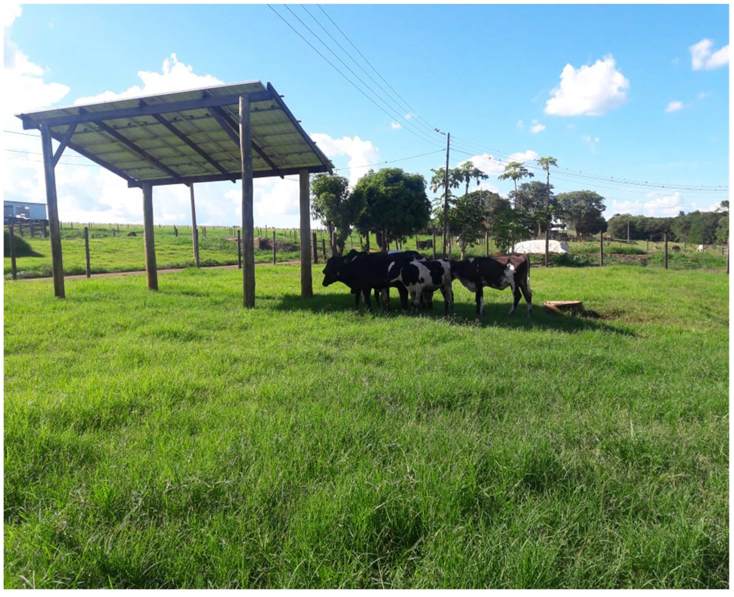 Animals 13 00329 g001 Animals 13 00329 g001