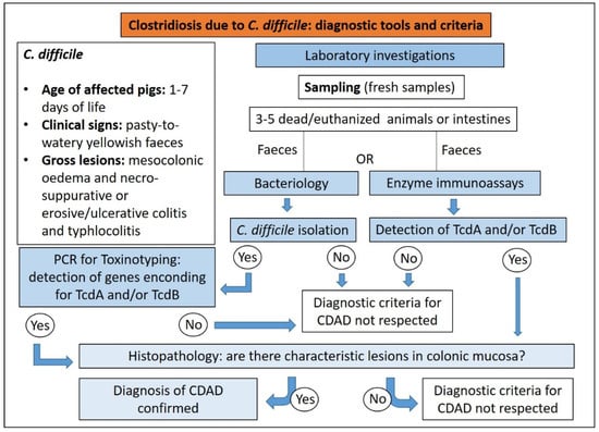 Animals 13 00338 g014