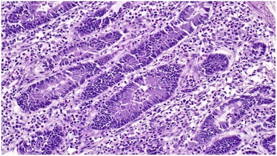 Animals 13 00338 g023