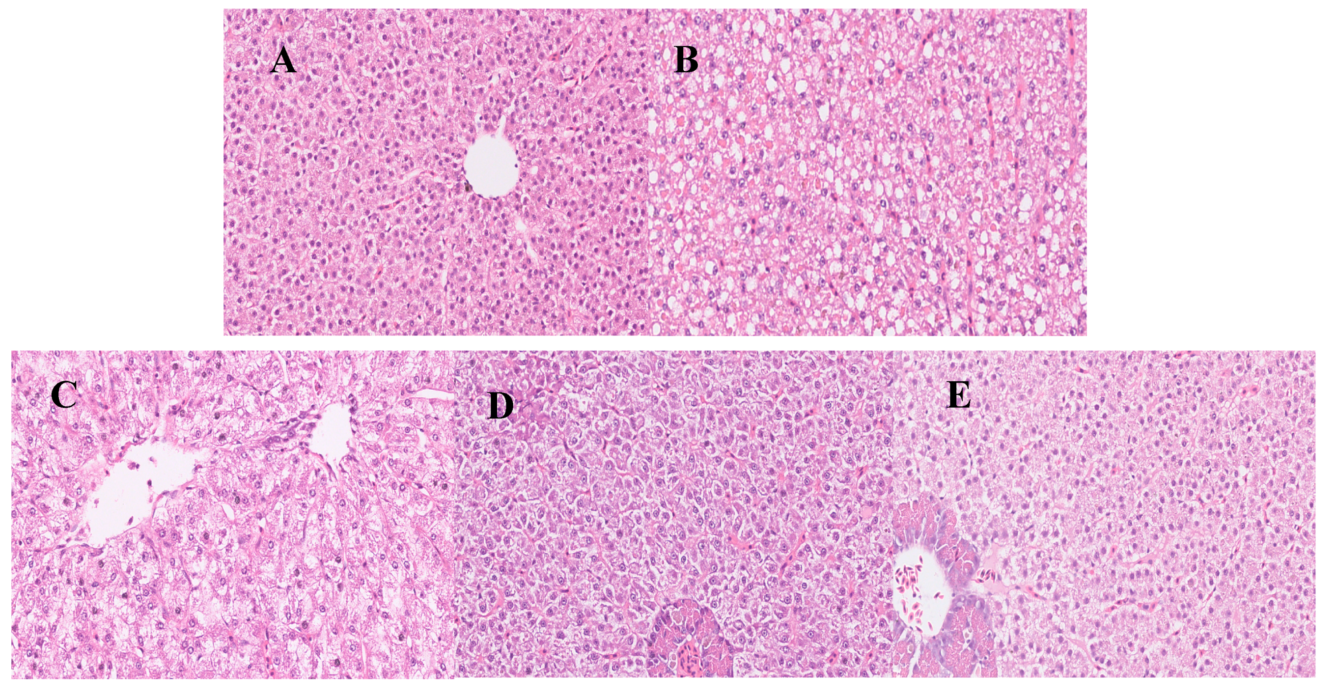 Animals 13 00341 g001