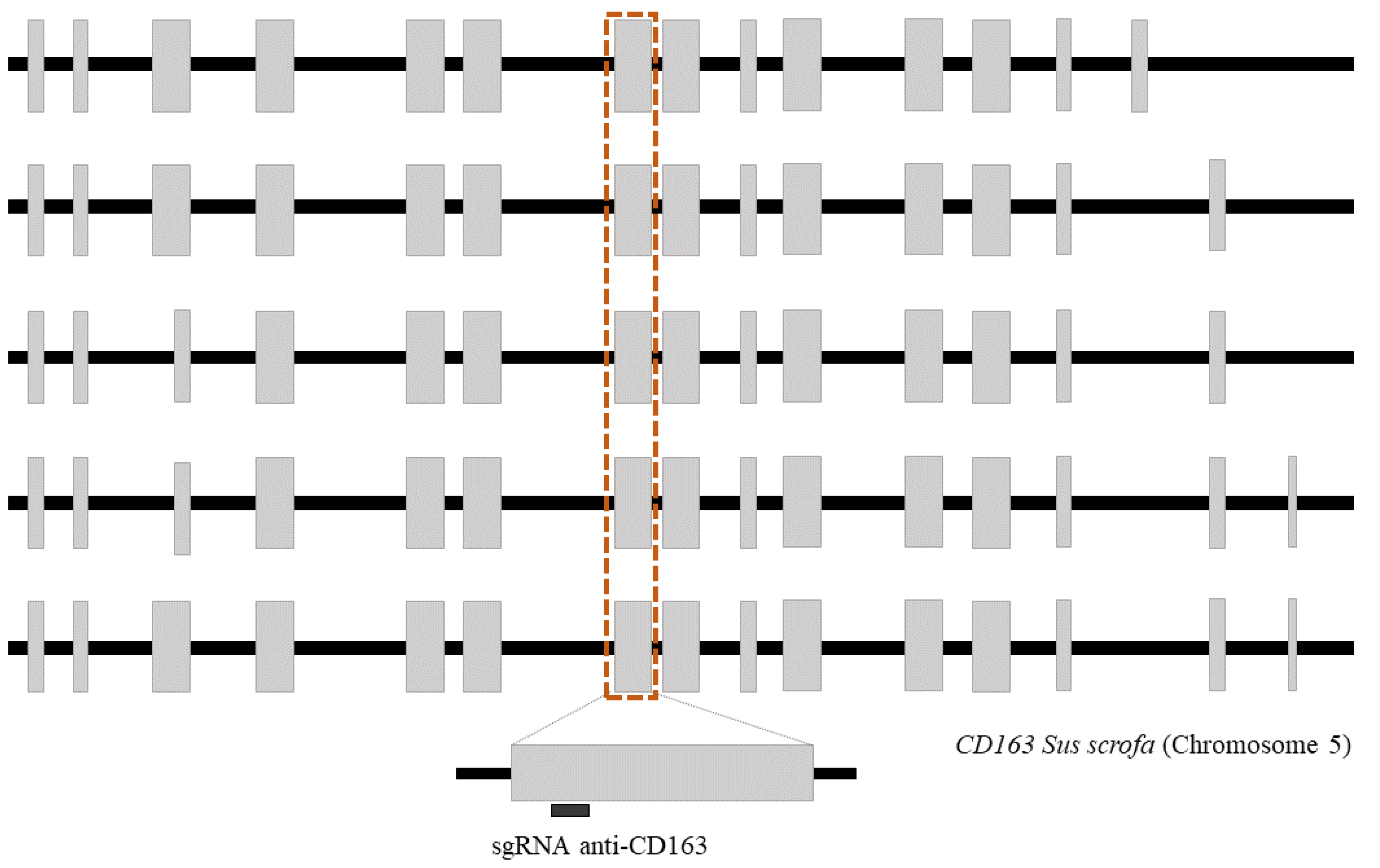 Animals 13 00342 g001