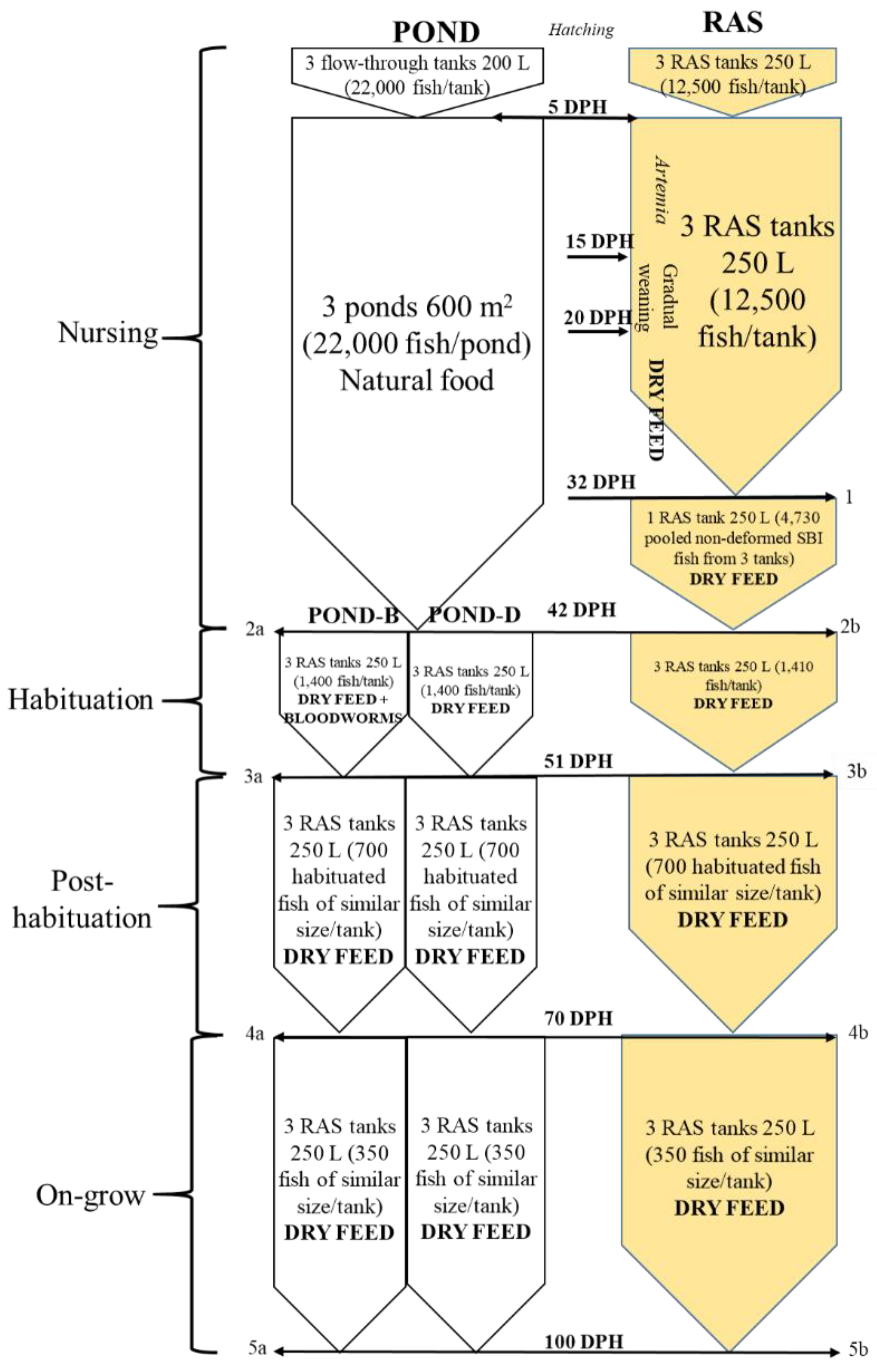 Animals 13 00347 g001