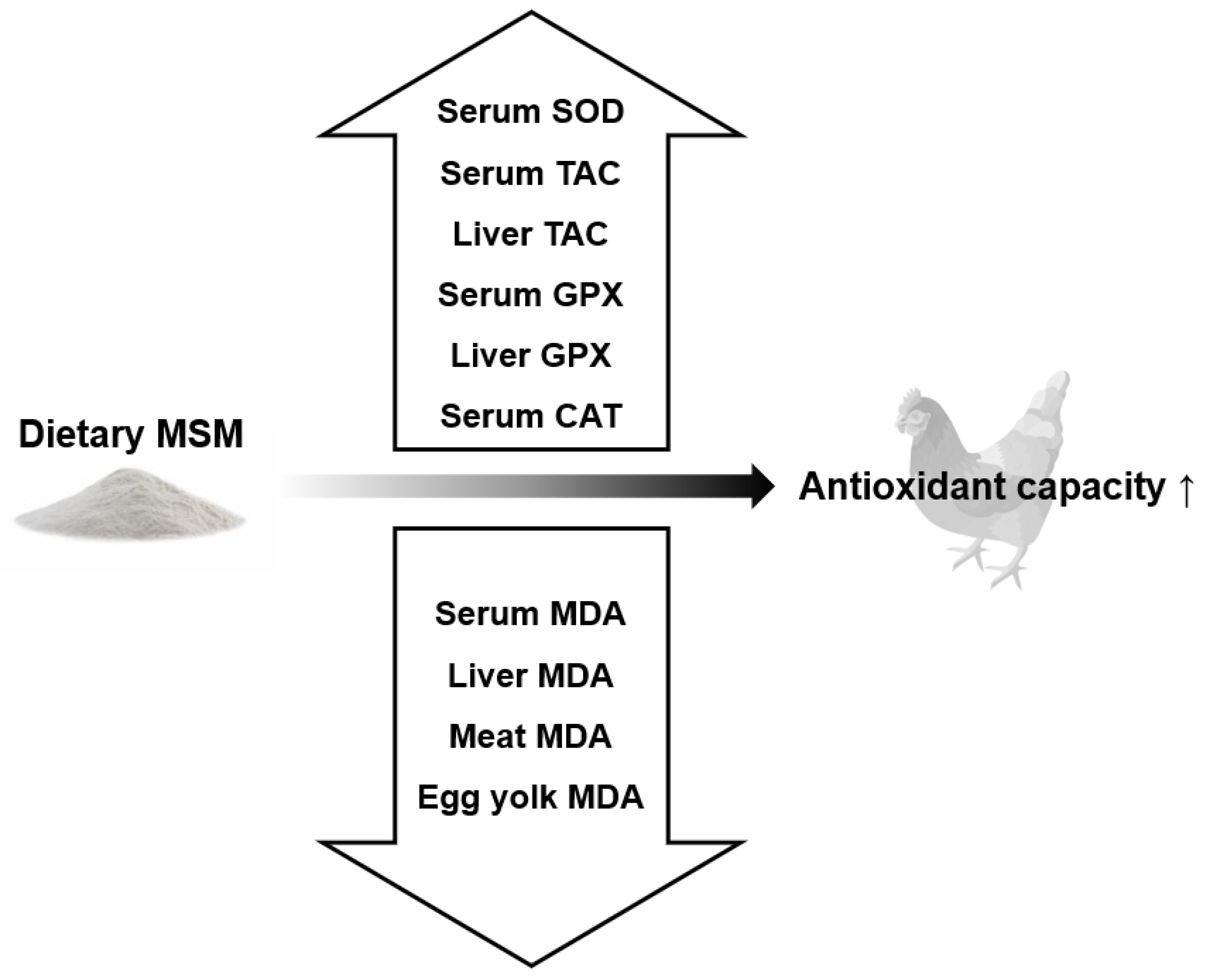 Animals 13 00351 g003