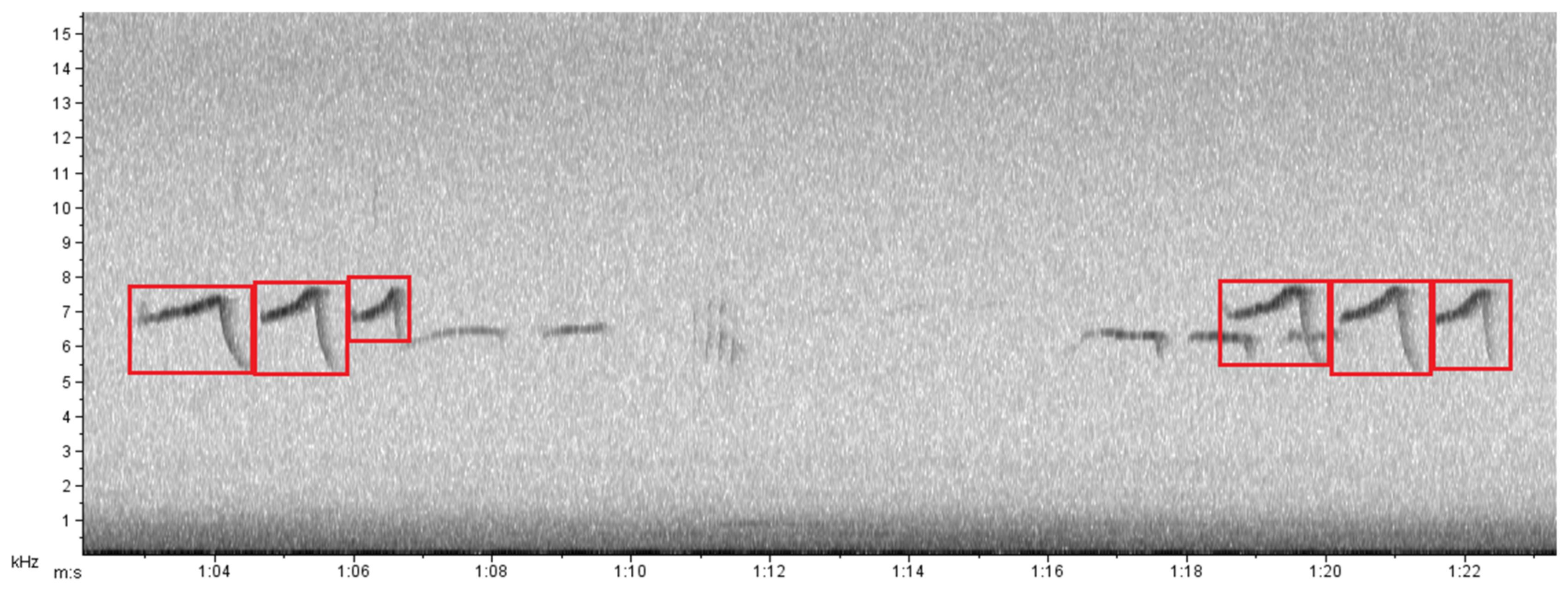 Animals 13 00352 g002