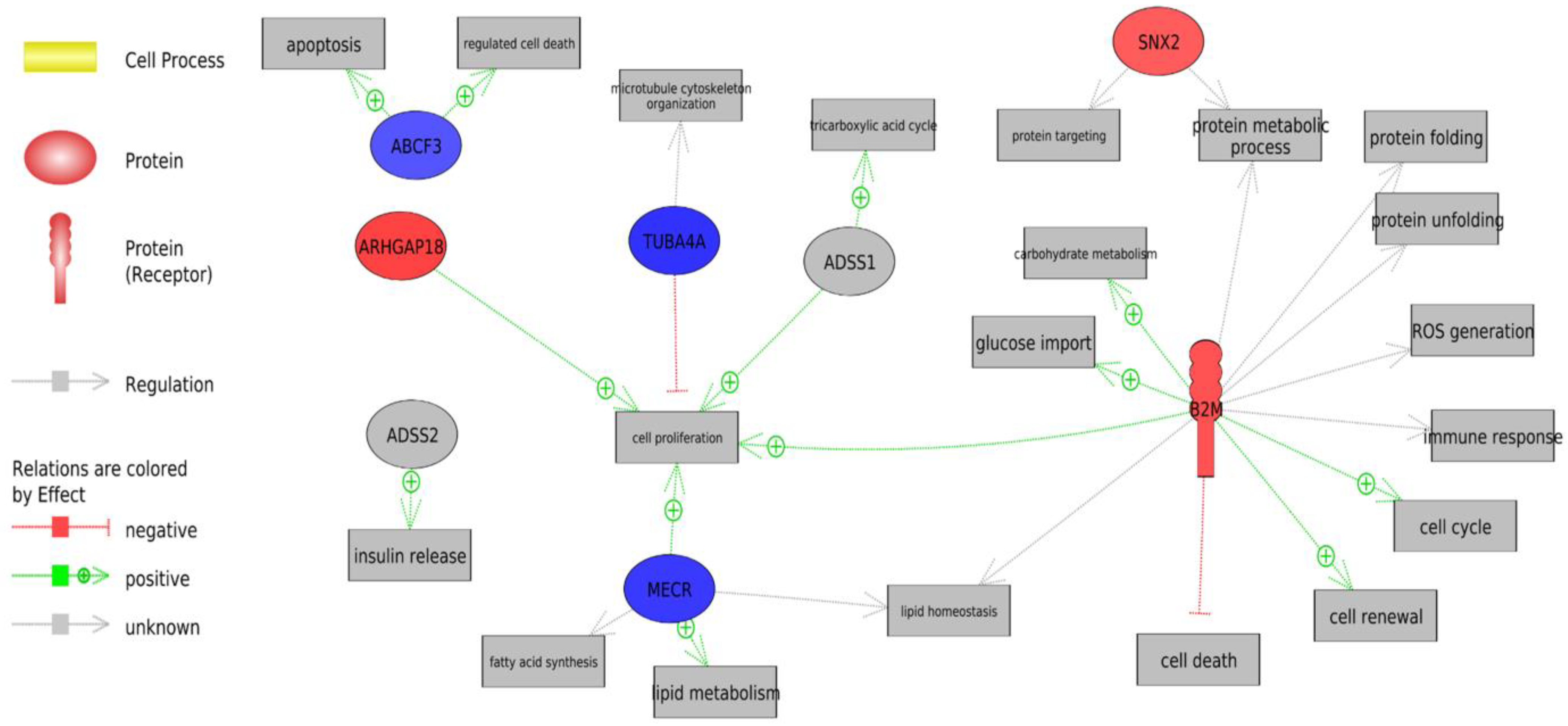 Animals 13 00359 g002 Animals 13 00359 g002