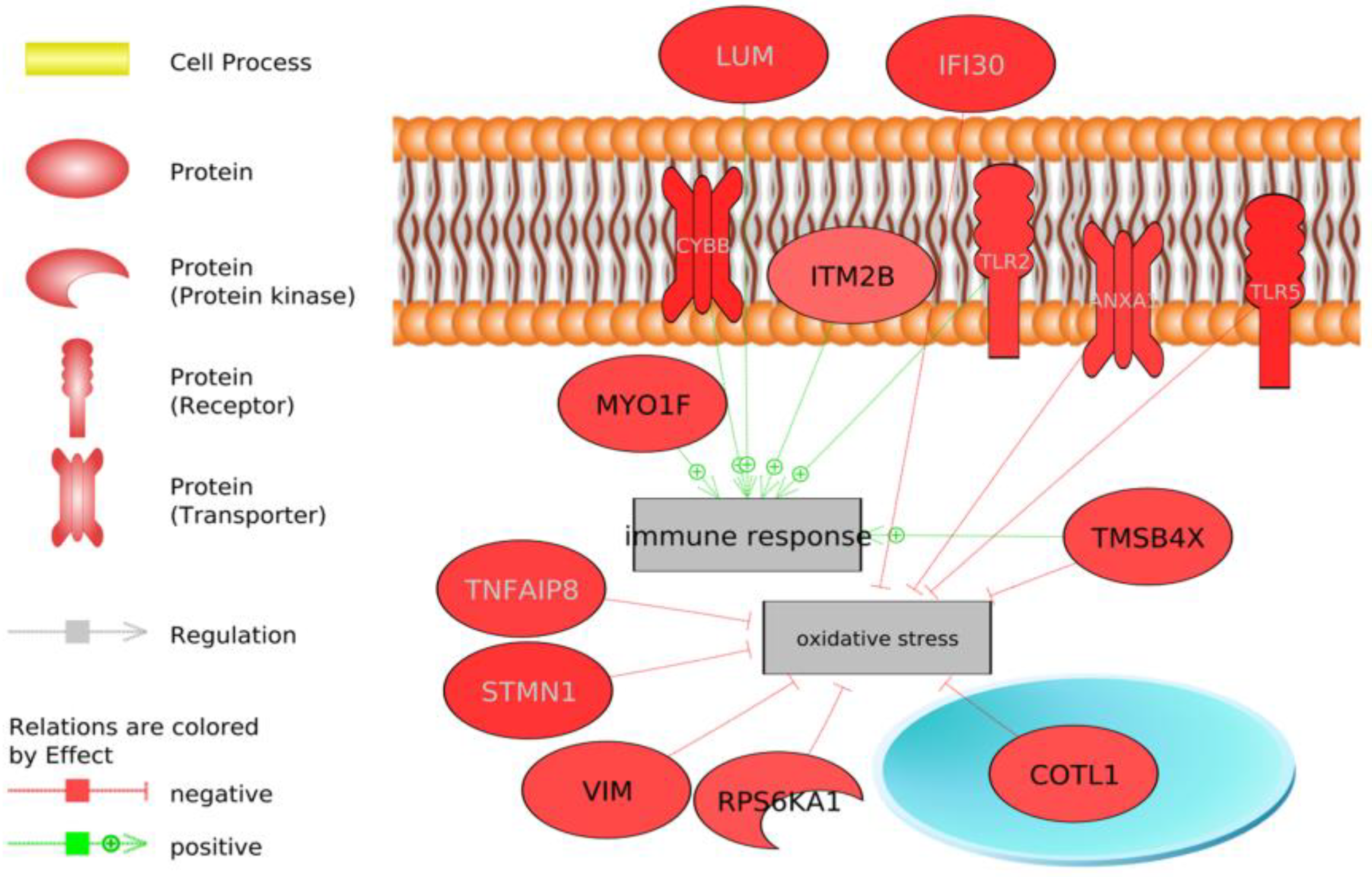 Animals 13 00359 g003 Animals 13 00359 g003
