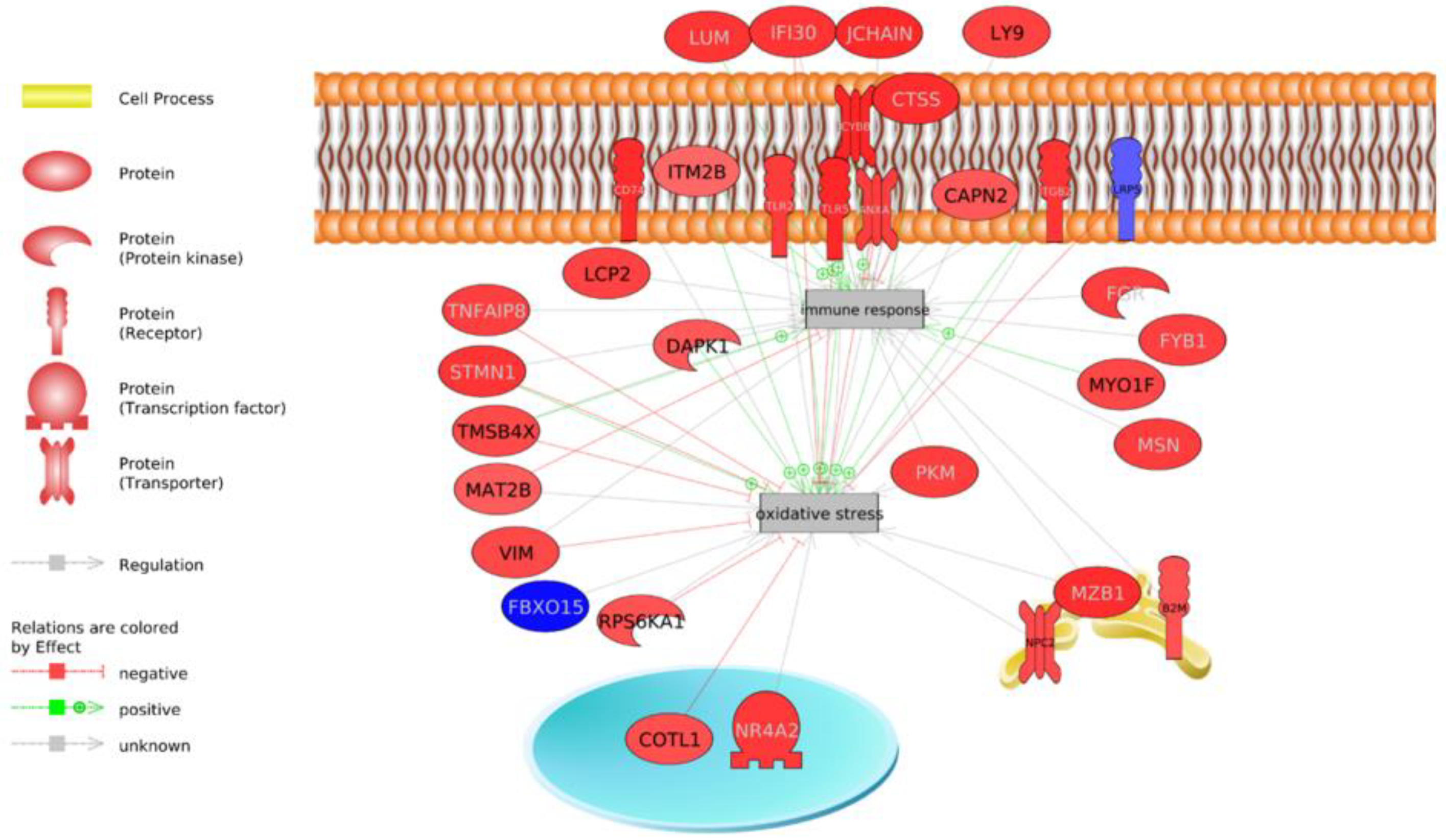 Animals 13 00359 g004 Animals 13 00359 g004