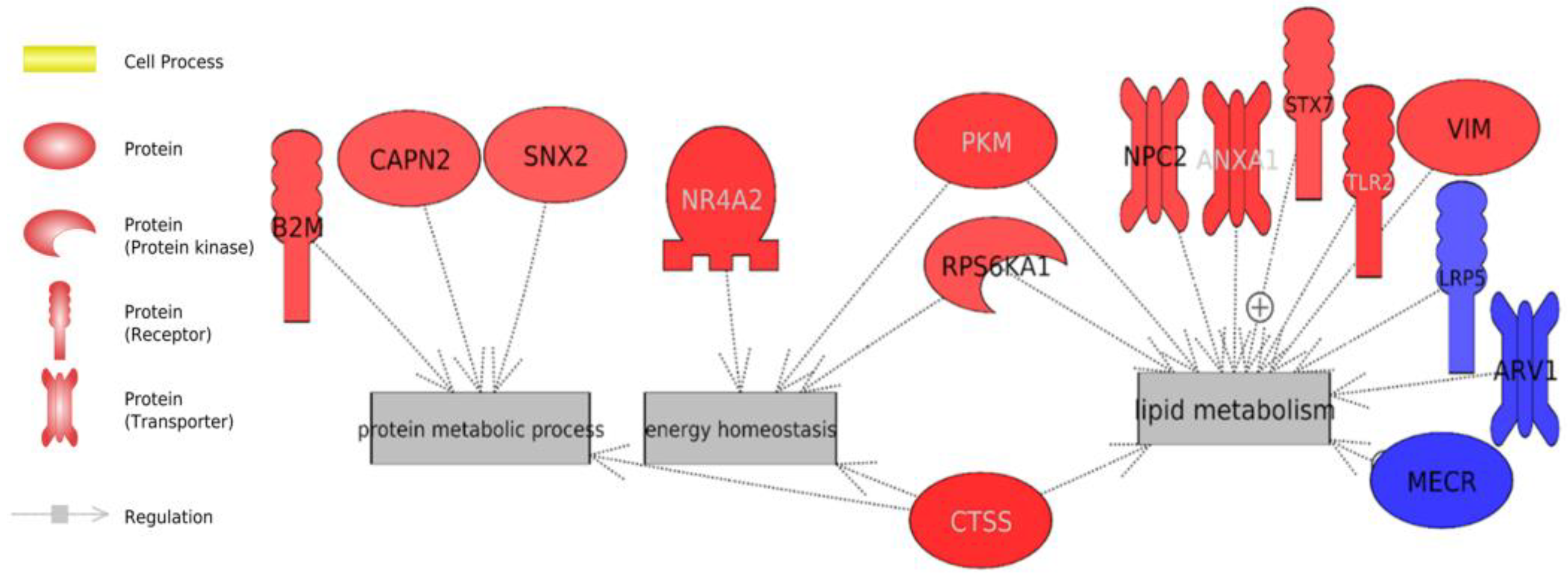 Animals 13 00359 g005 Animals 13 00359 g005