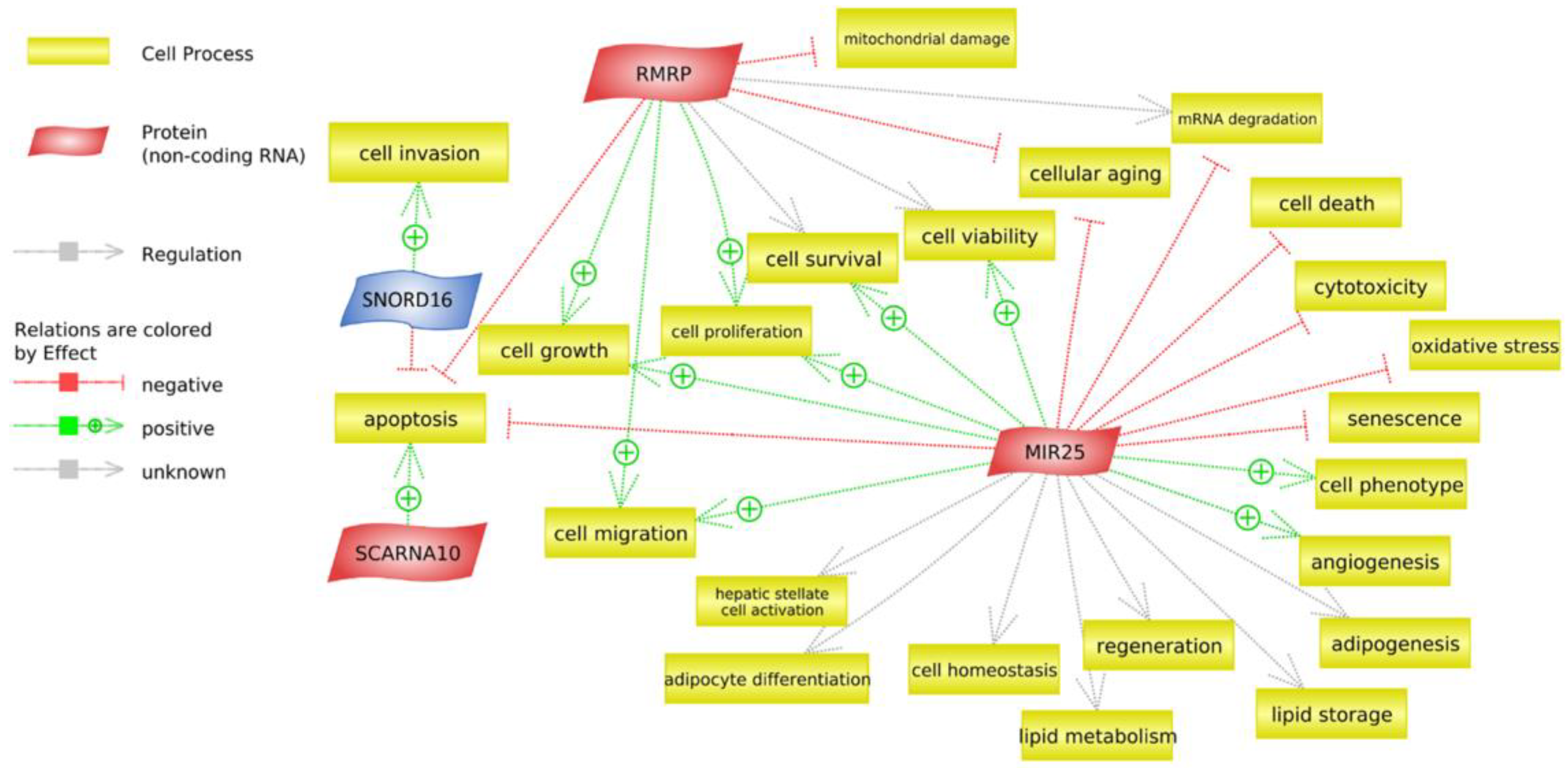 Animals 13 00359 g006 Animals 13 00359 g006