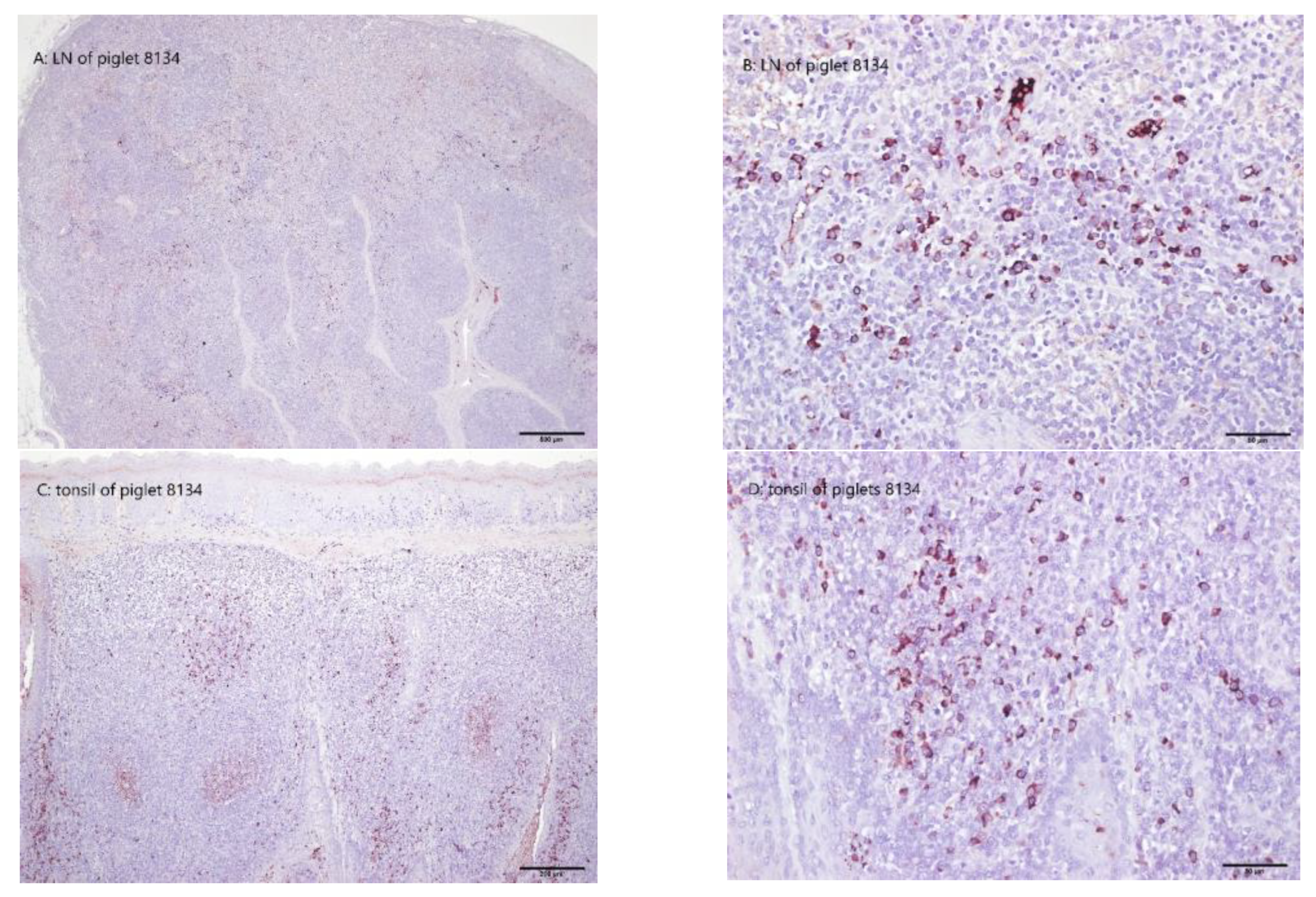 Animals 13 00368 g006a