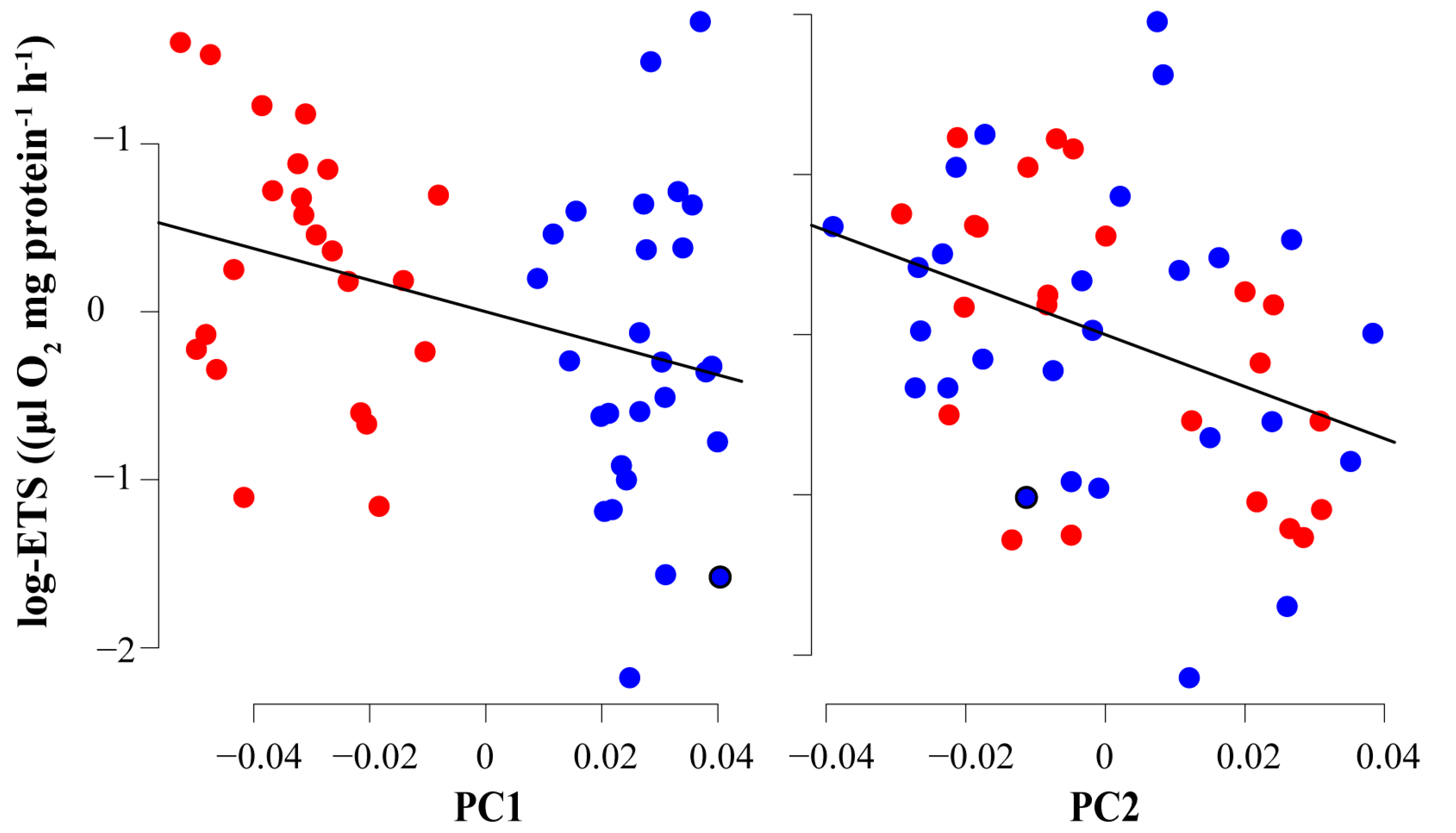Animals 13 00370 g004 Animals 13 00370 g004