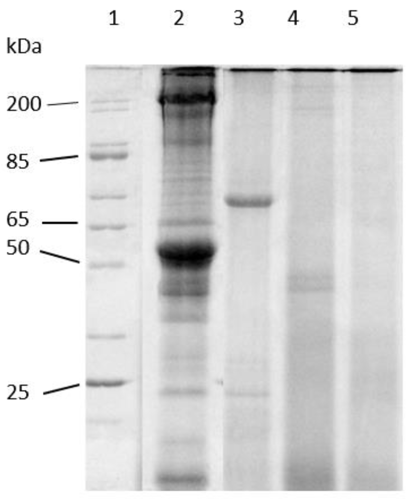 Animals 13 00373 g004